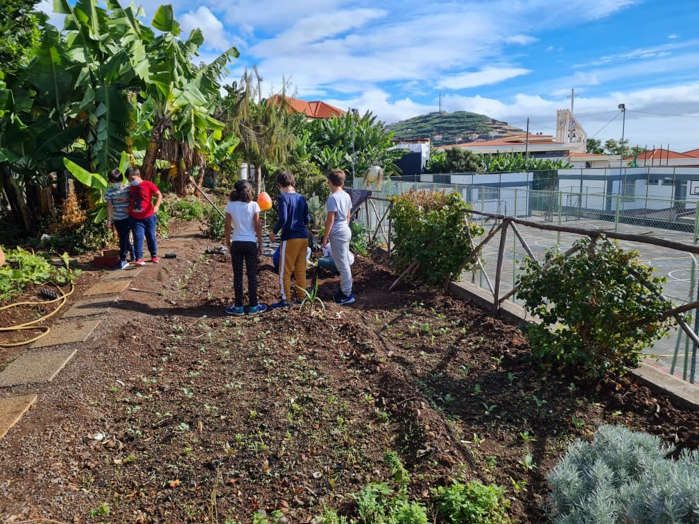 Envolvimento dos alunos nas tarefas da horta.