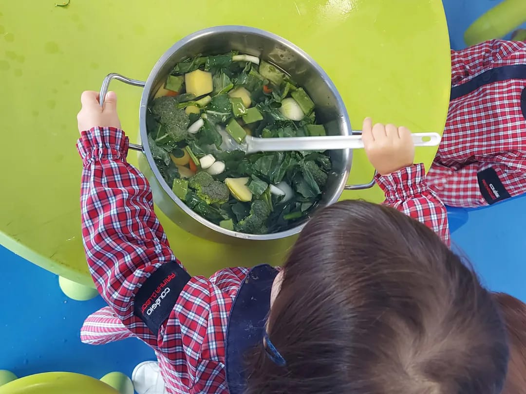 Confeção de sopa com produtos da nossa horta bio