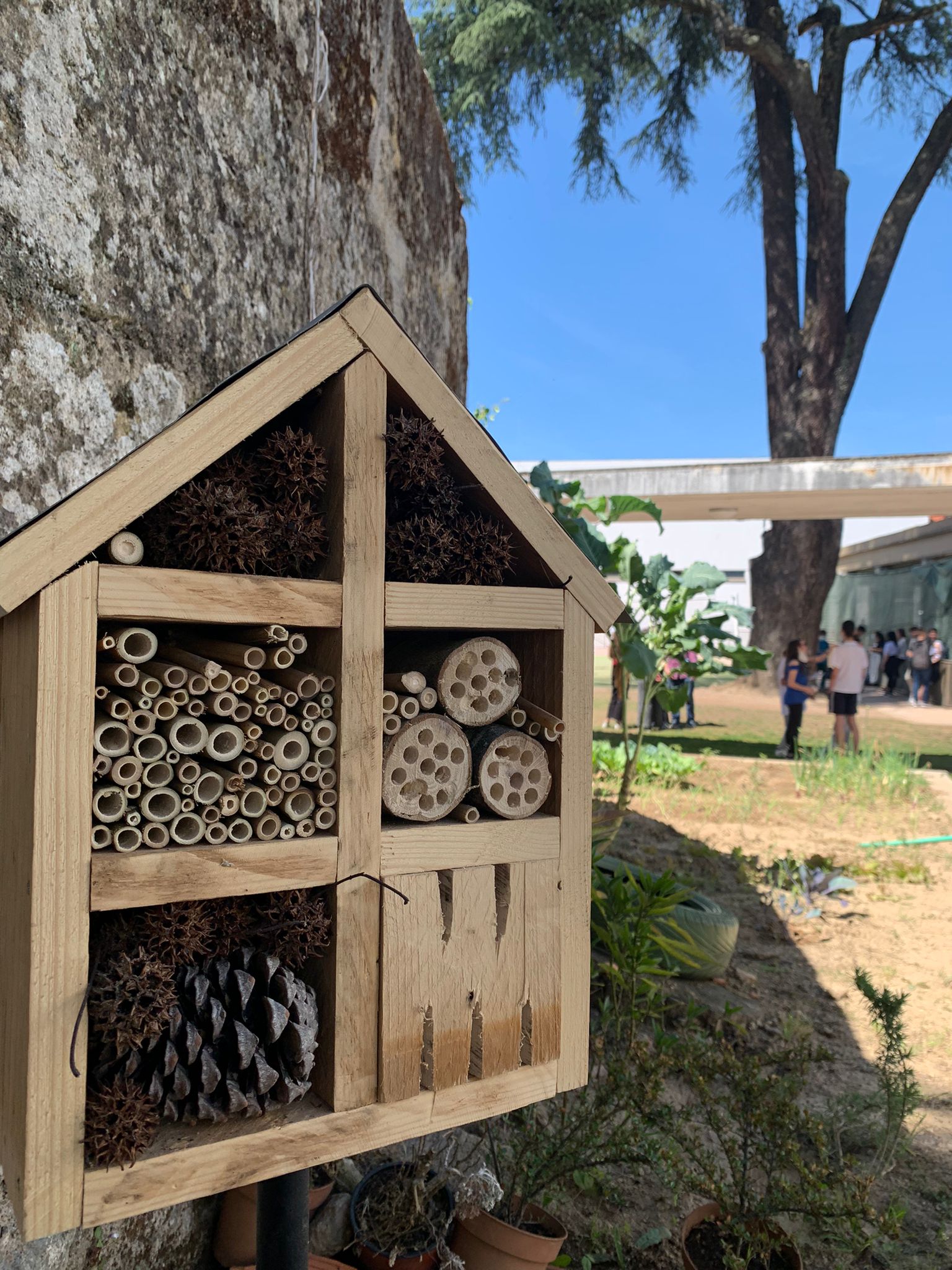 Hotel de insetos colocado junto à horta durante a semana ECOESEN.