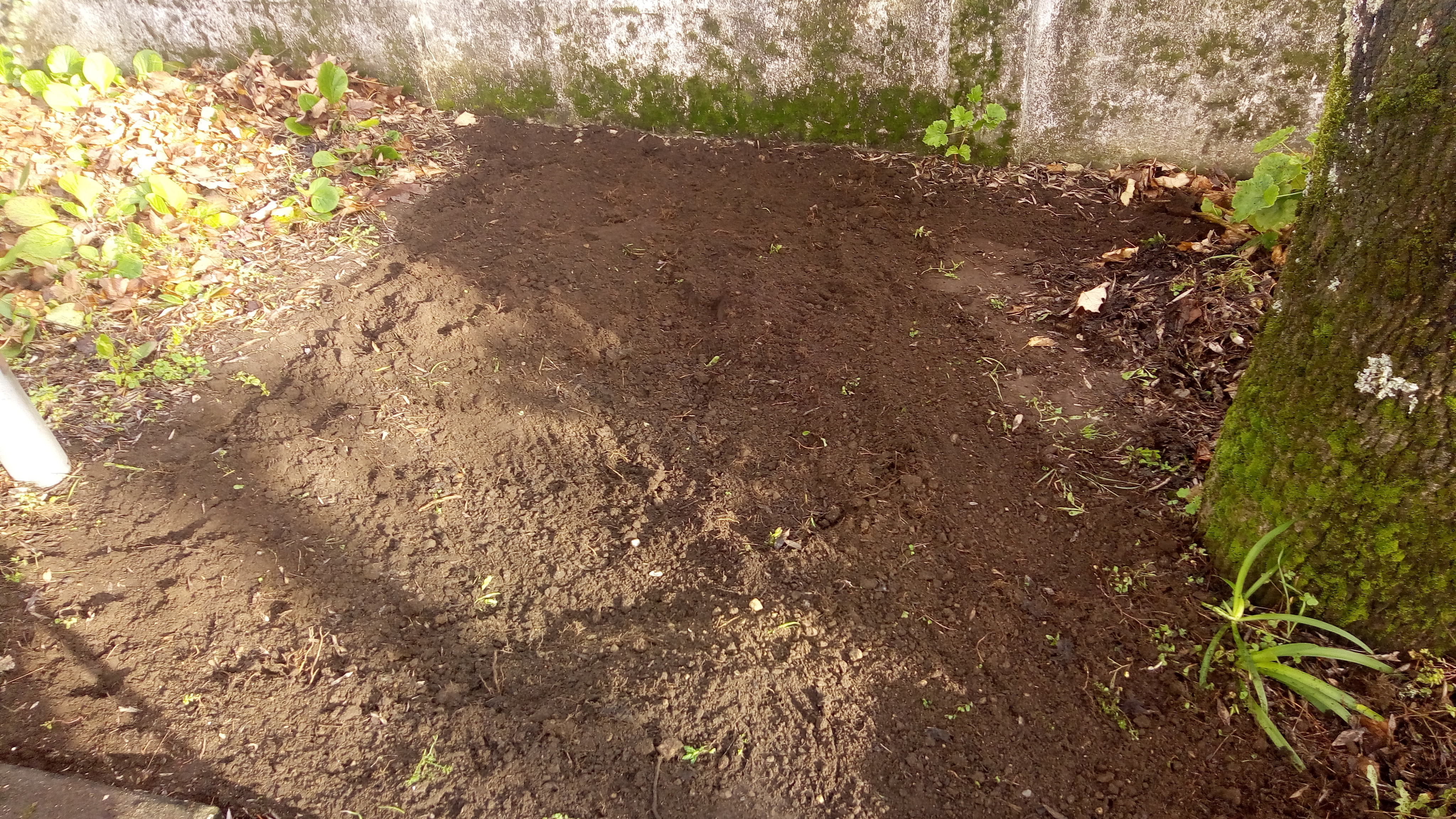 Terreno após a sua preparação para a sementeira.