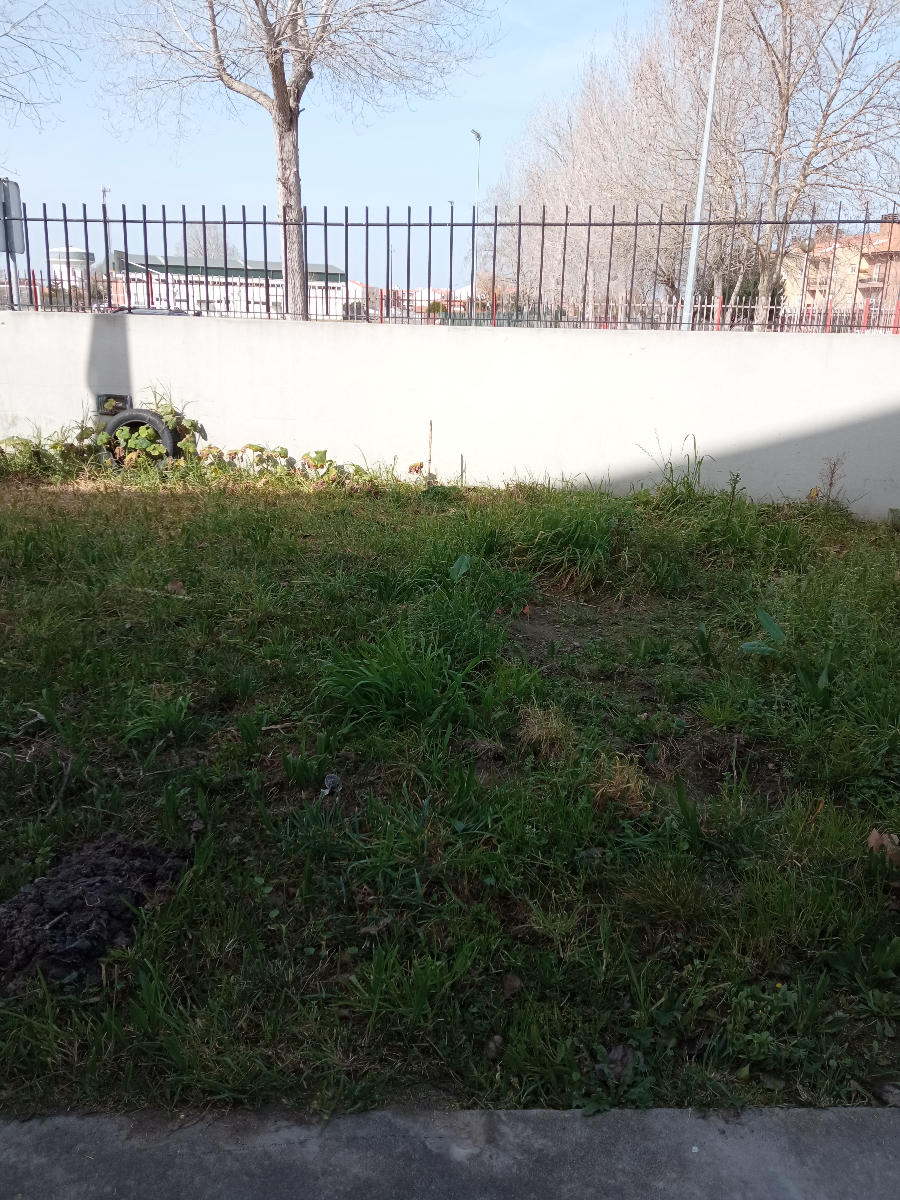 3 - Projeto de definição do espaço/horta.