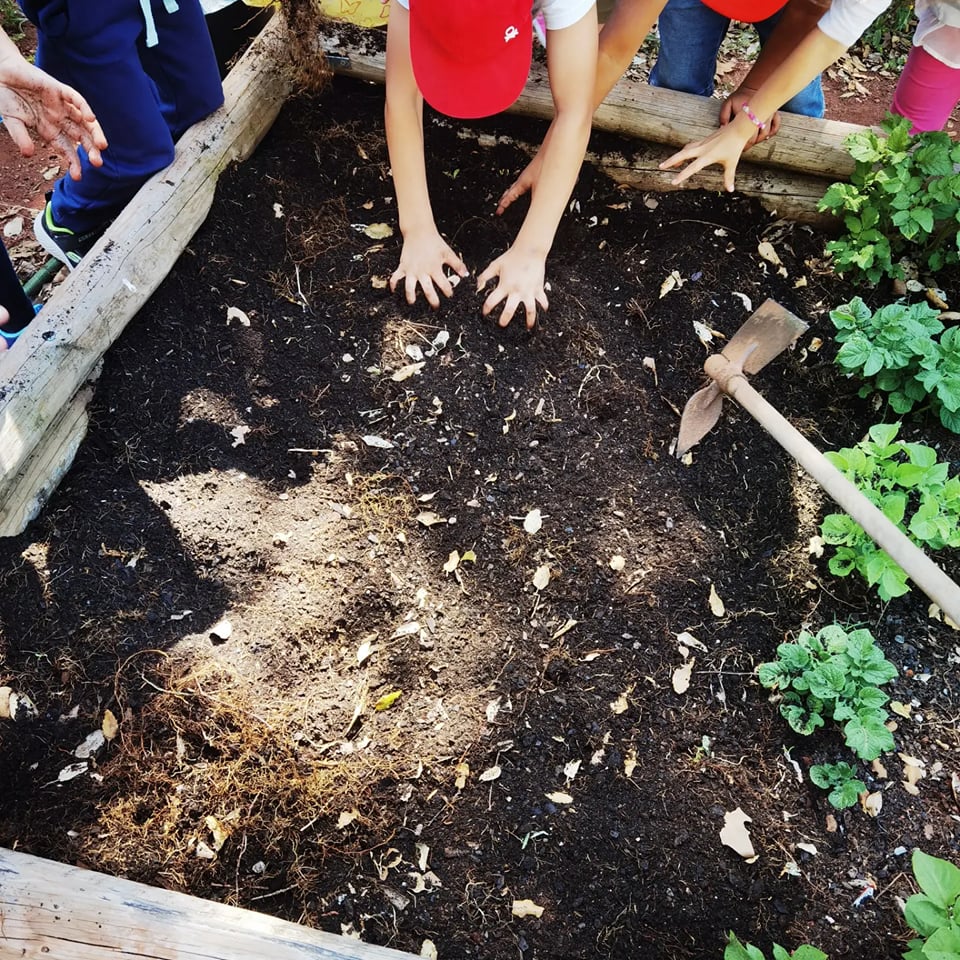 Trabalho em equipa e decisão por parte dos alunos da divisão de tarefas para a brigada eco-escolas par os próximos meses.