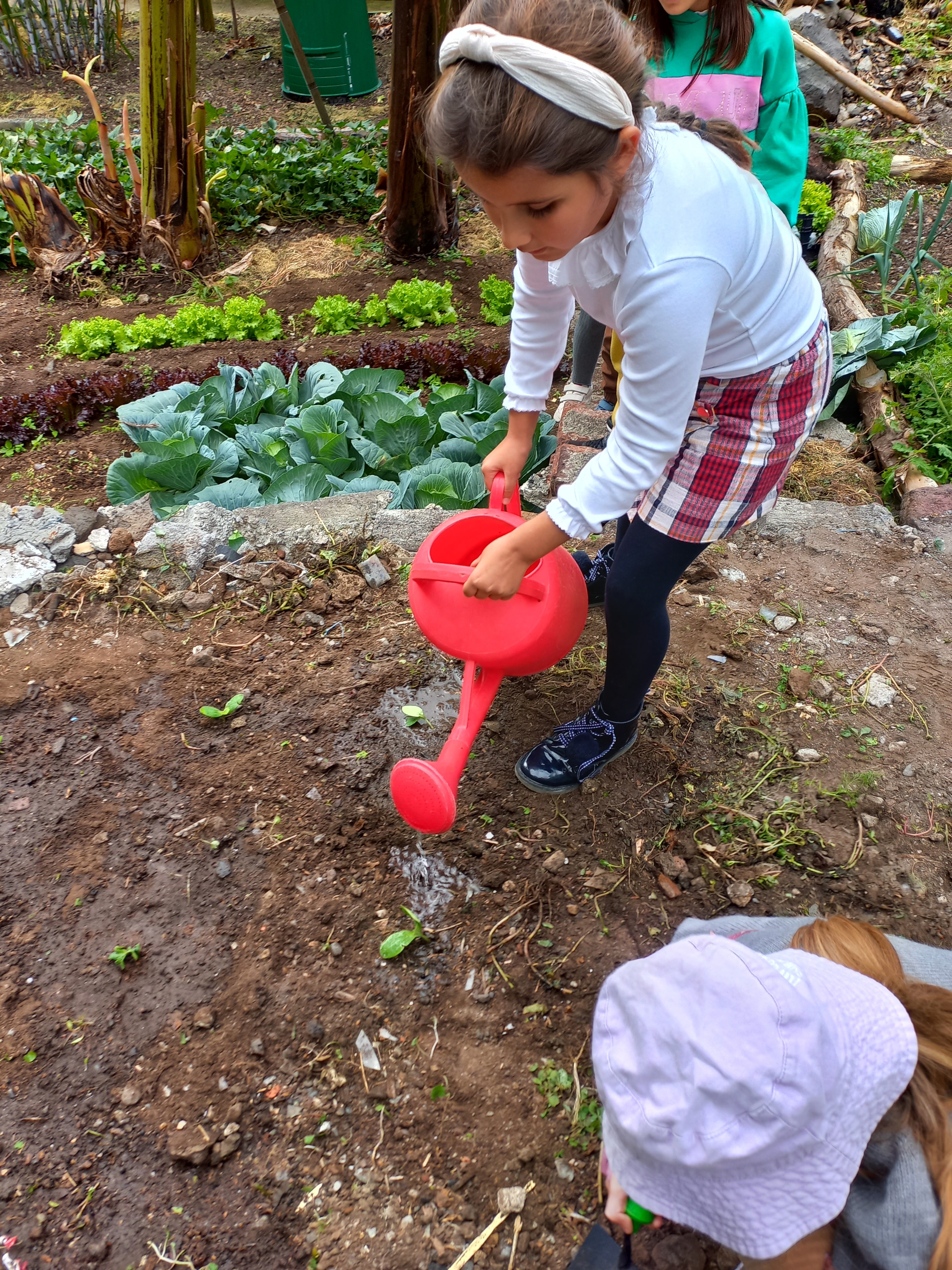 Cuidado das plantações pelos alunos - Rega.