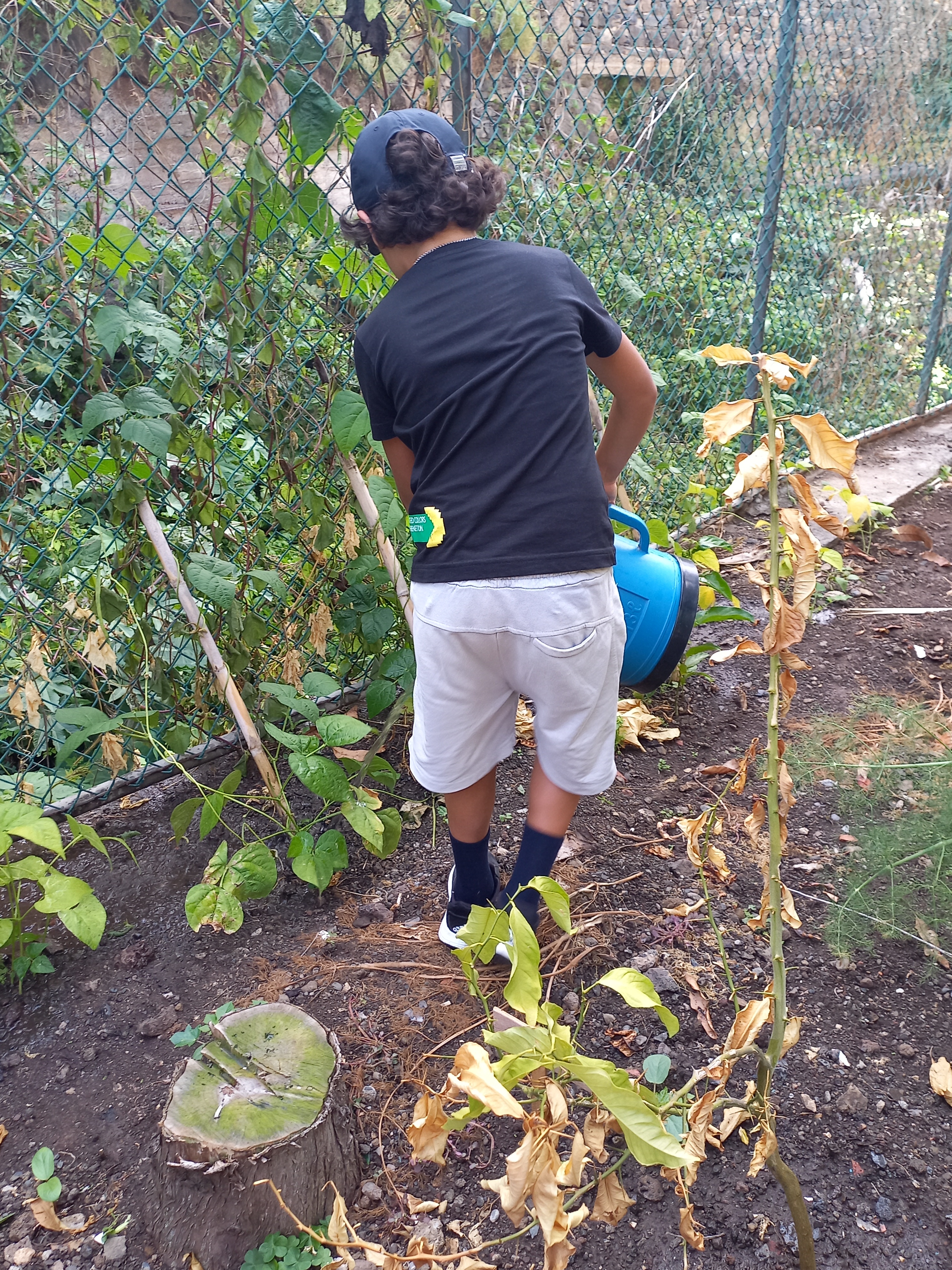 Rega dos Feijoeiros