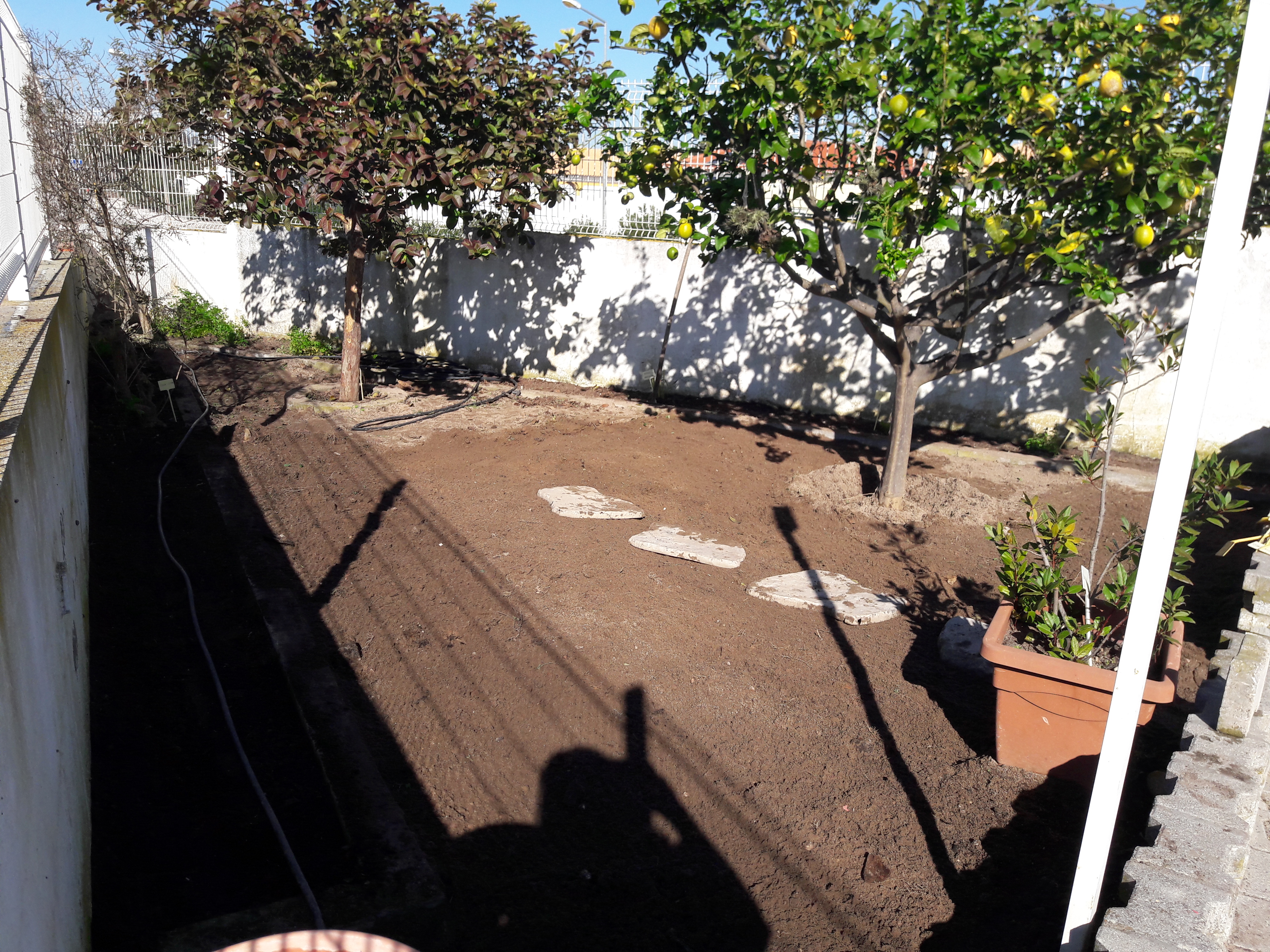Horta 1
Terreno limpo e preparado para início de plantação