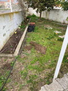 Horta 1
Terreno em semi abandono, deixado assim no ano letivo anterior