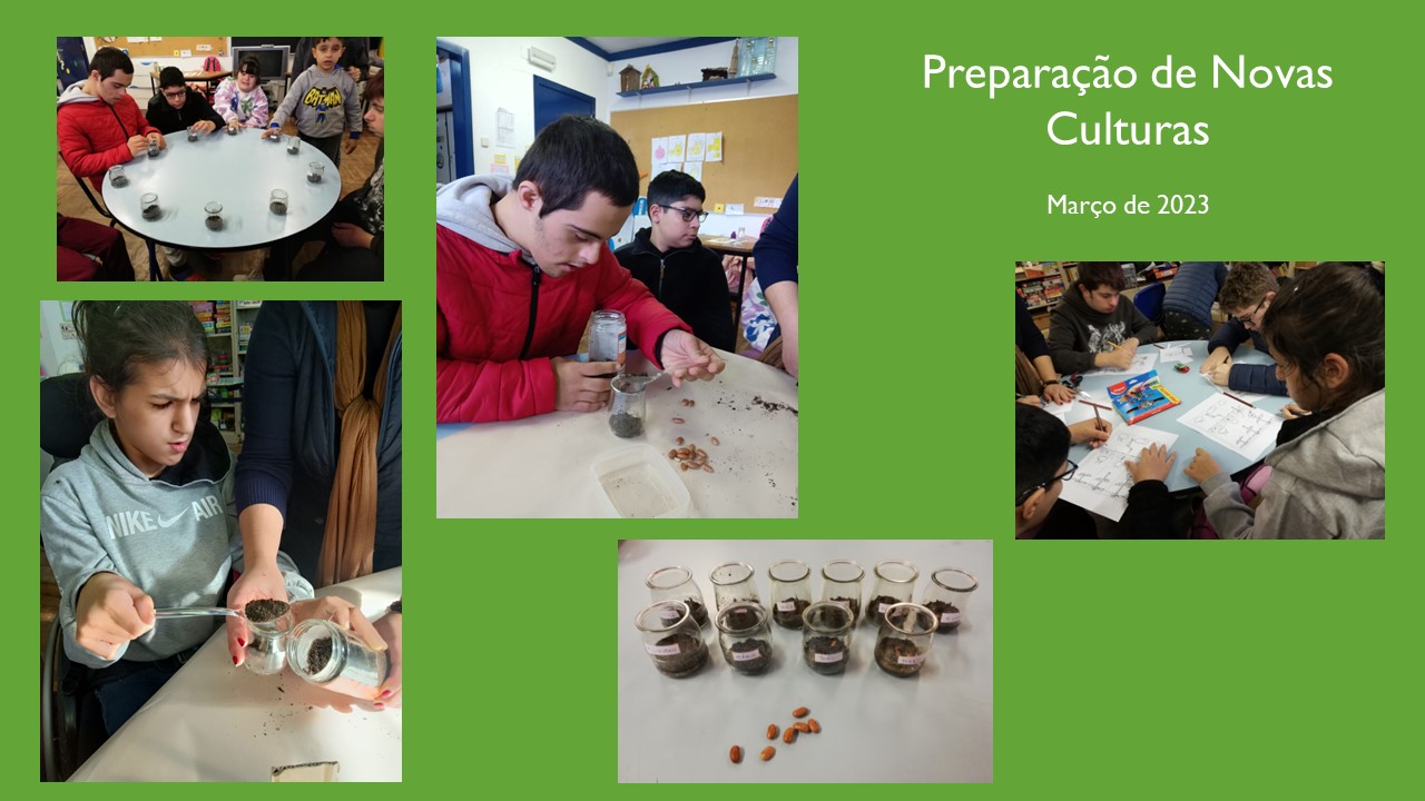 Preparação de Novas Culturas