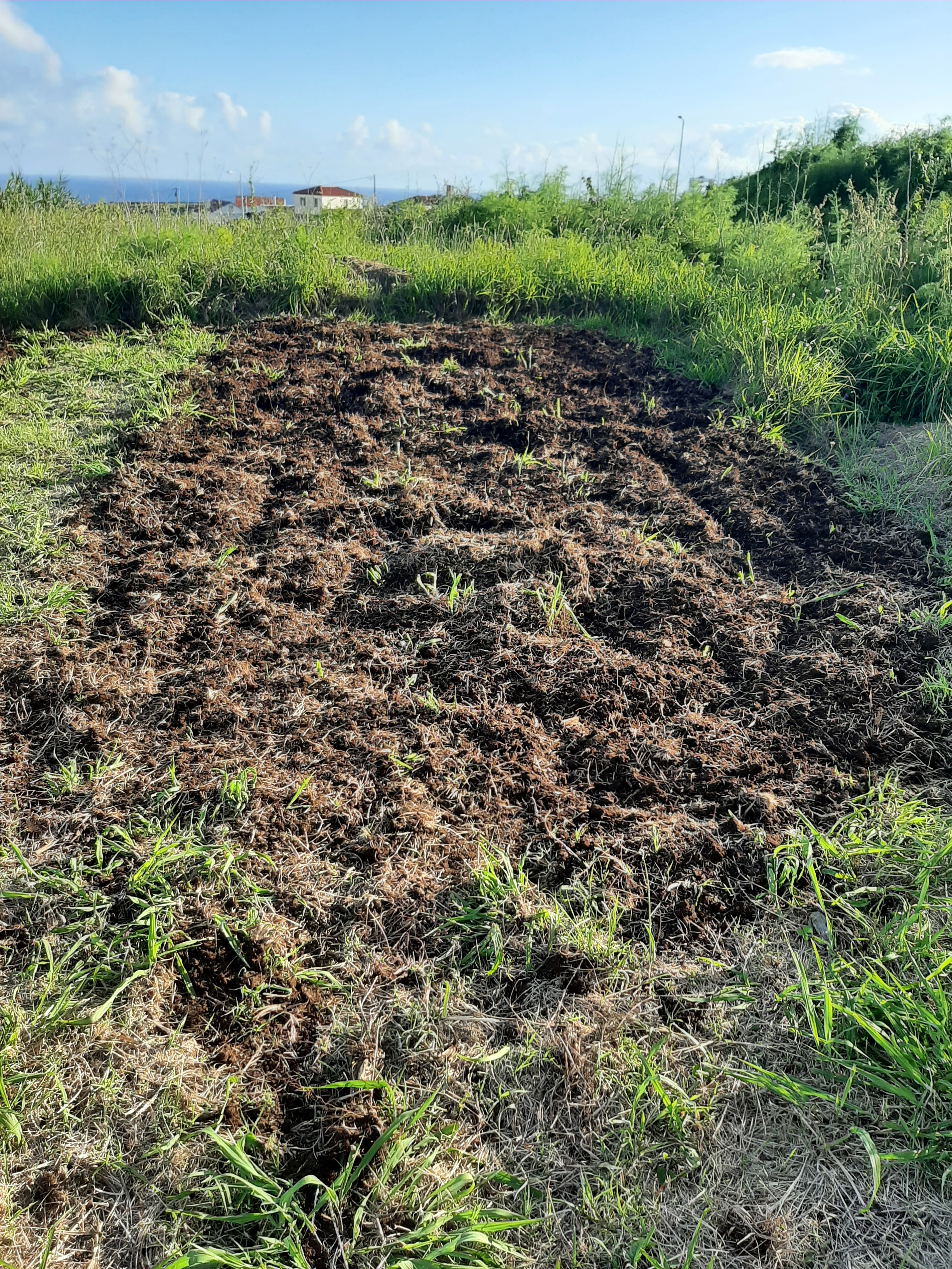 Terreno preparado - cavado