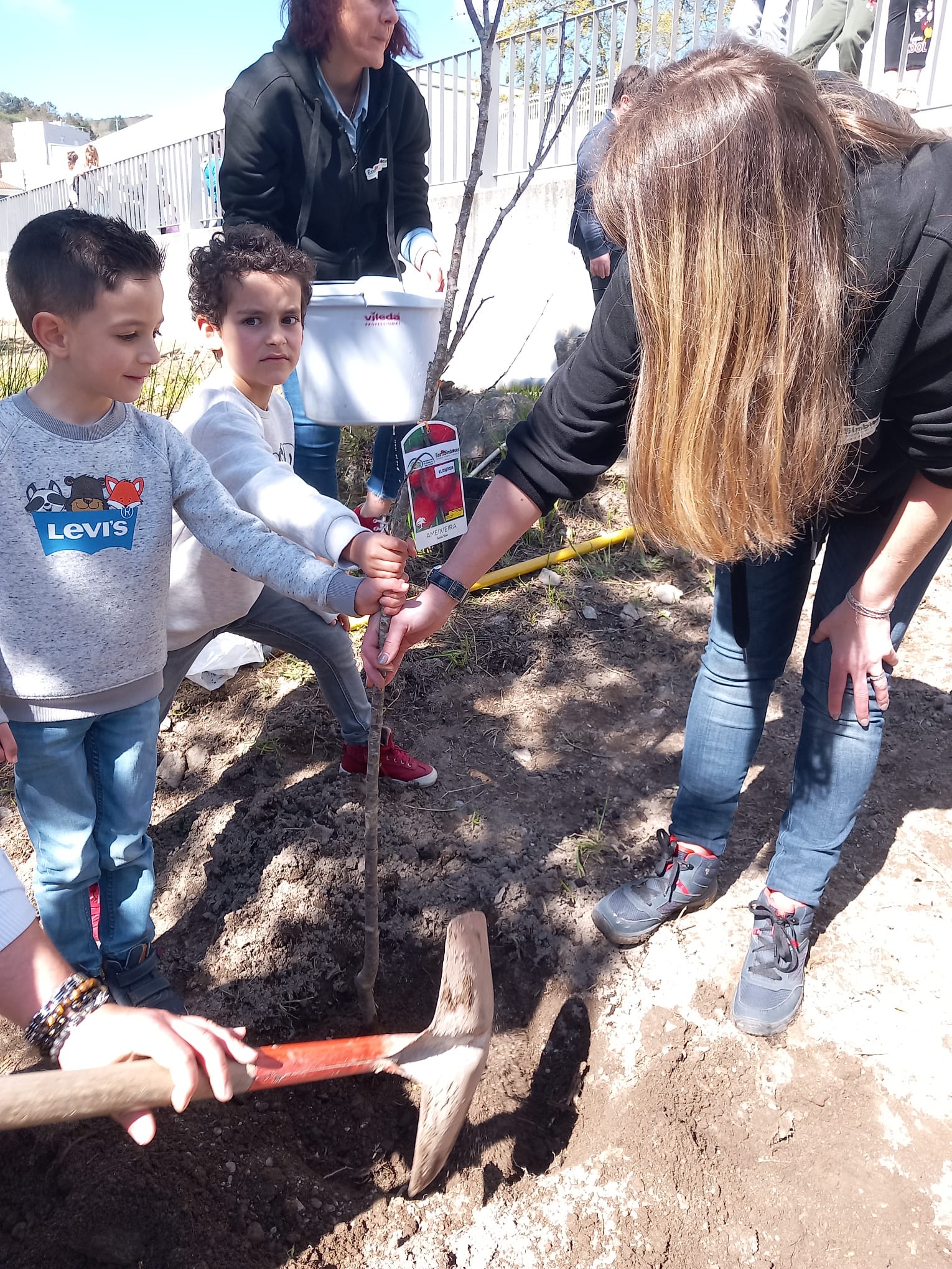 Plantação de árvores de fruto na nossa horta