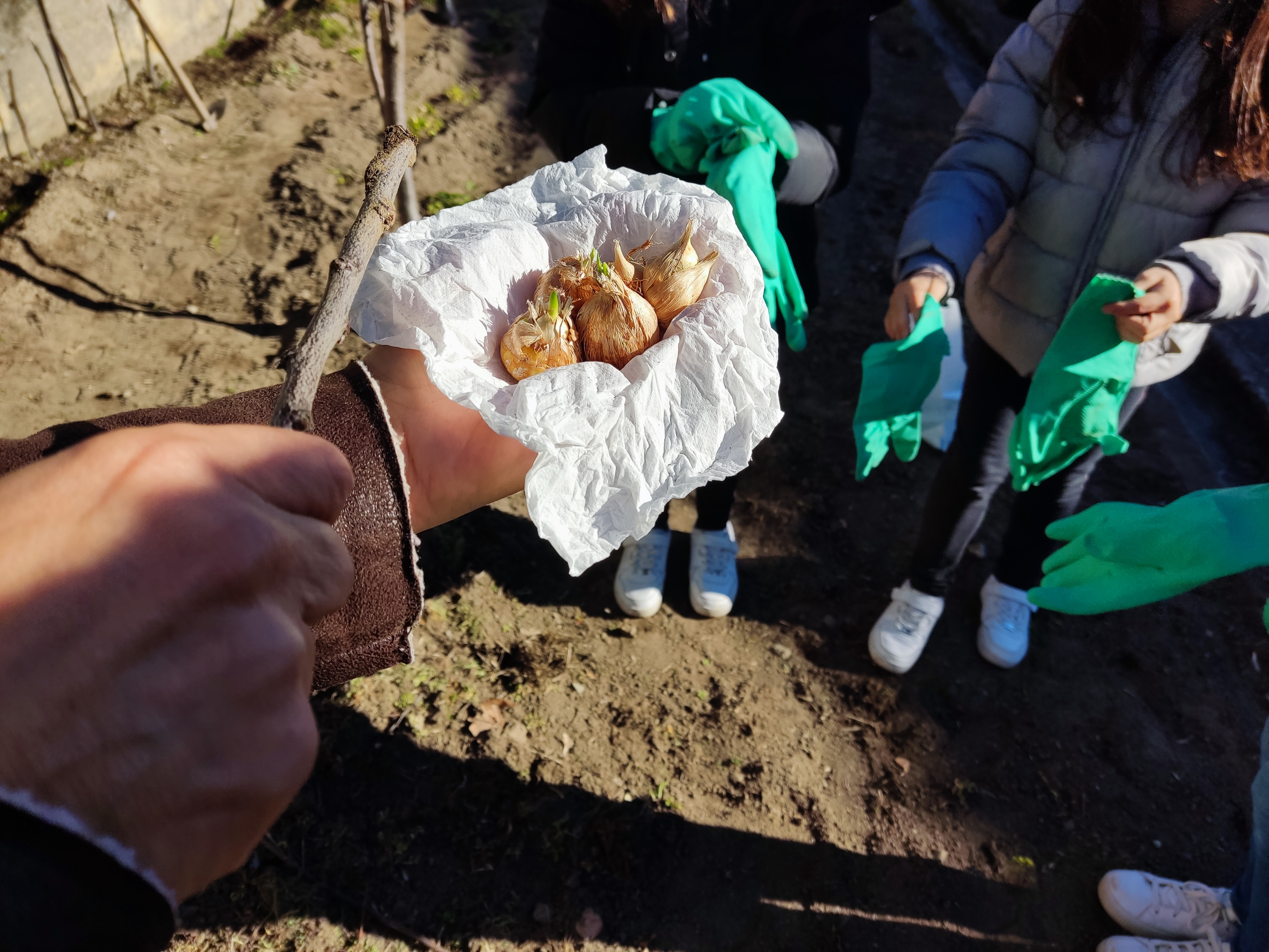 Uma aula de campo no espaço da horta.