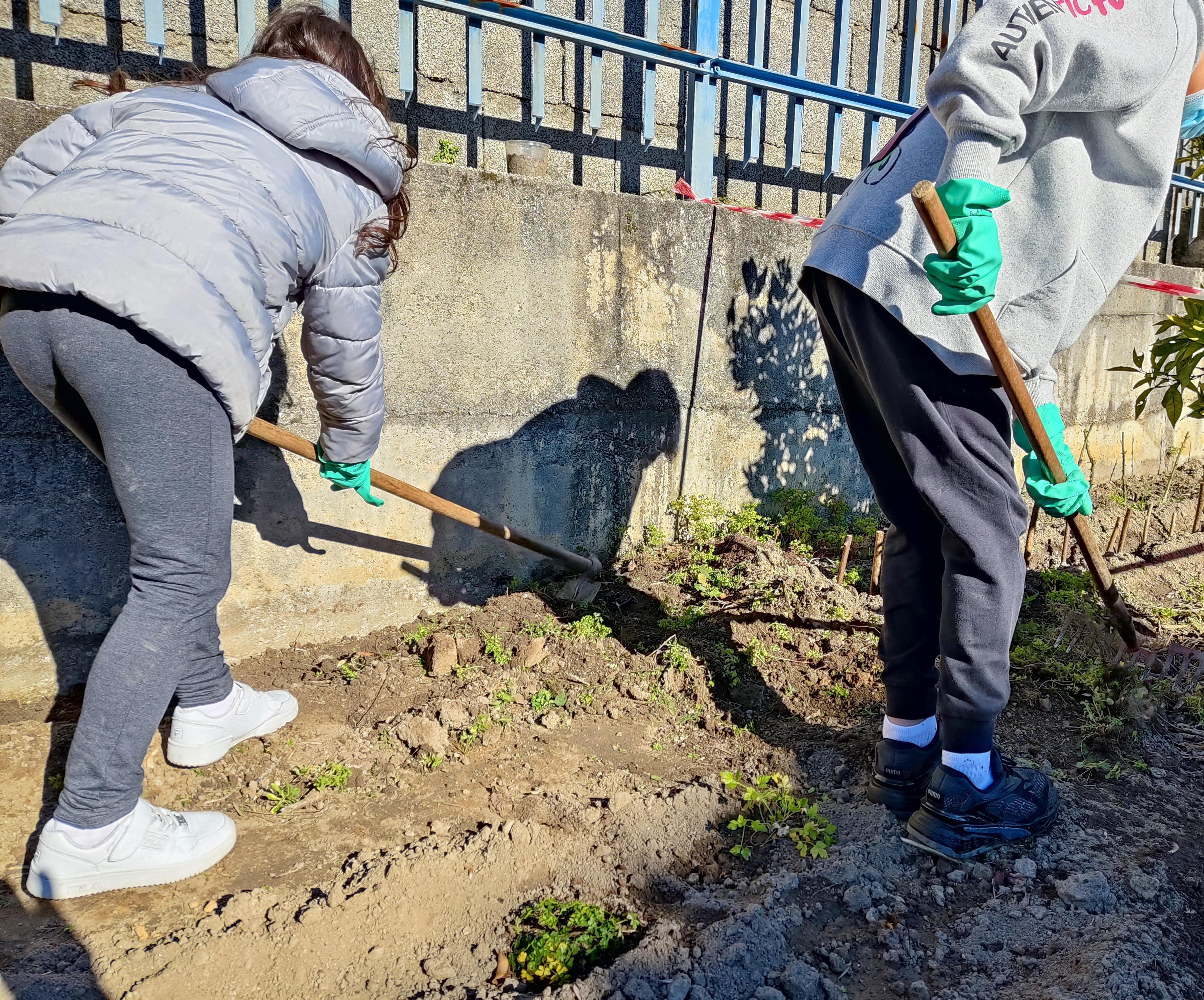 Mais um pormenor da limpeza do espaço por outros elementos do clube. Eles adoraram ir para a horta.