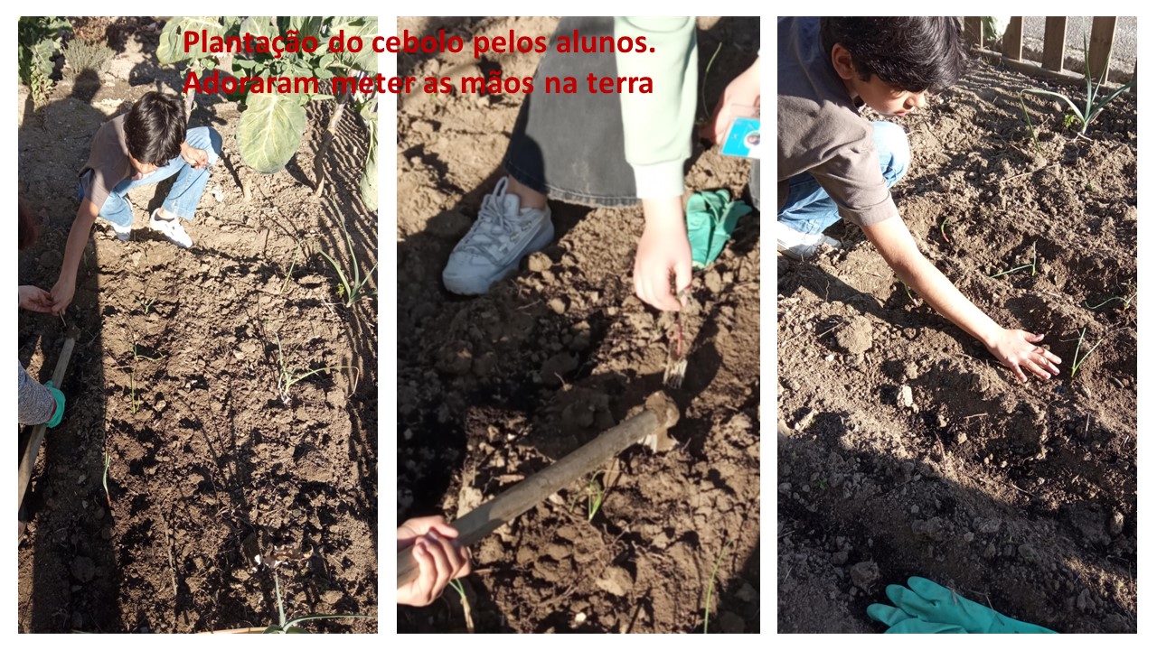 Os alunos do clube de saúde e ambiente com as mãos na terra para a plantação do cebolo e das alfaces.