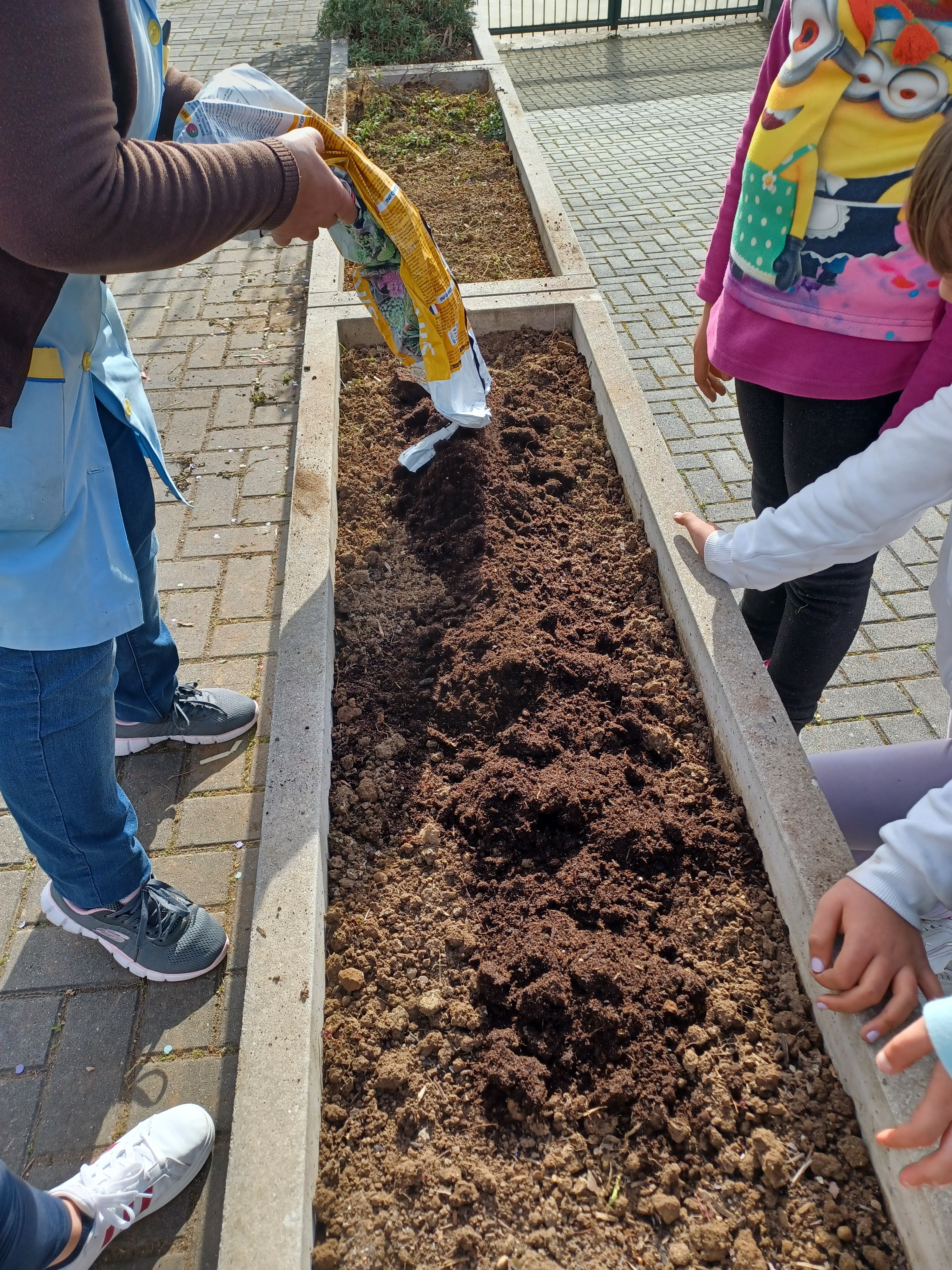 Cavar a terra
Depois de retirarem as ervas daninhas, os alunos do 2º ano, com a ajuda da professora e da assistente, cavaram a terra dos canteiros e da horta e acrescentaram substrato, que envolveram com a terra existente.