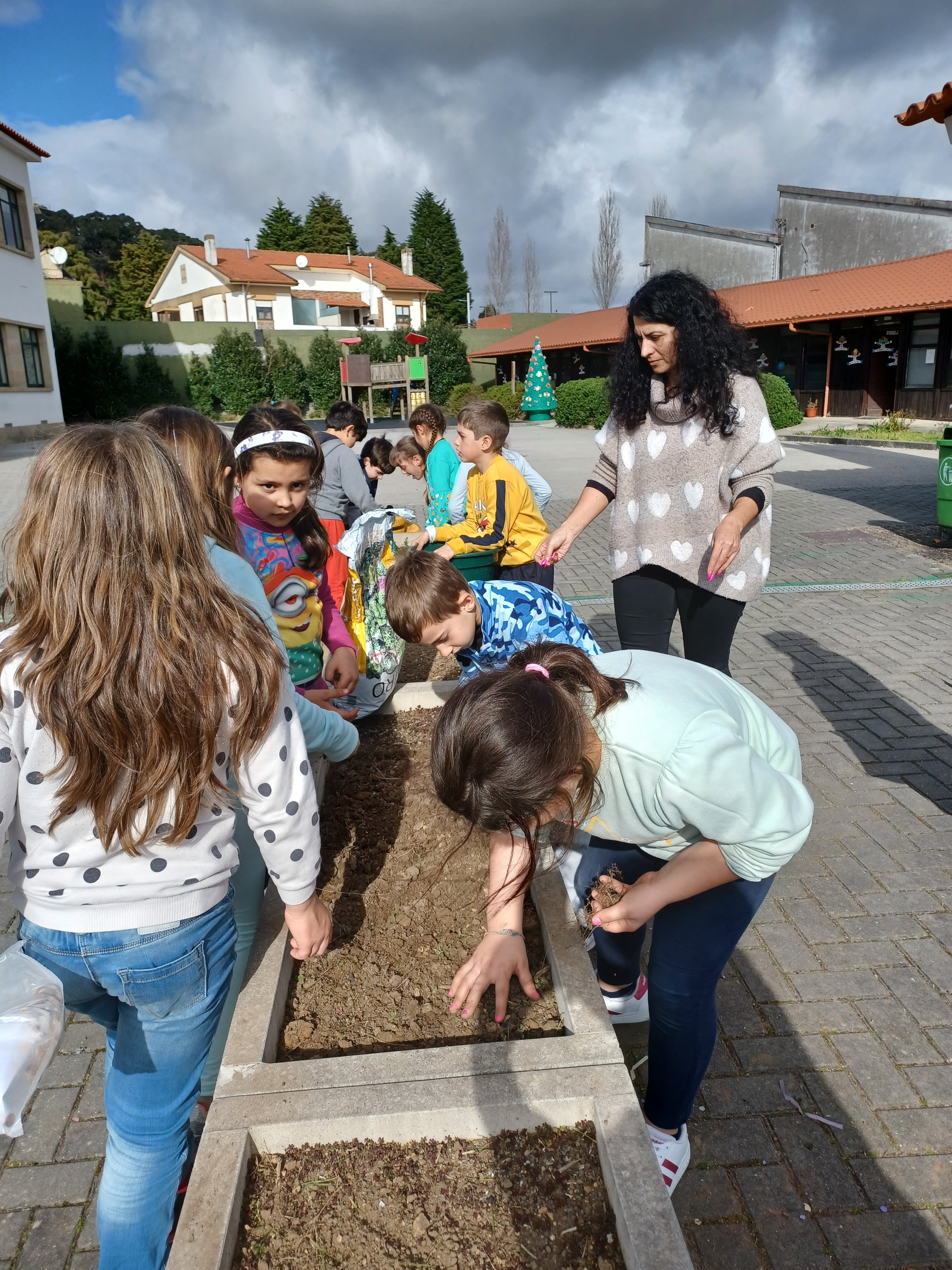 Preparação da terra
Os alunos retiraram pedras e raízes existentes na terra, para que esta pudesse receber as sementes.