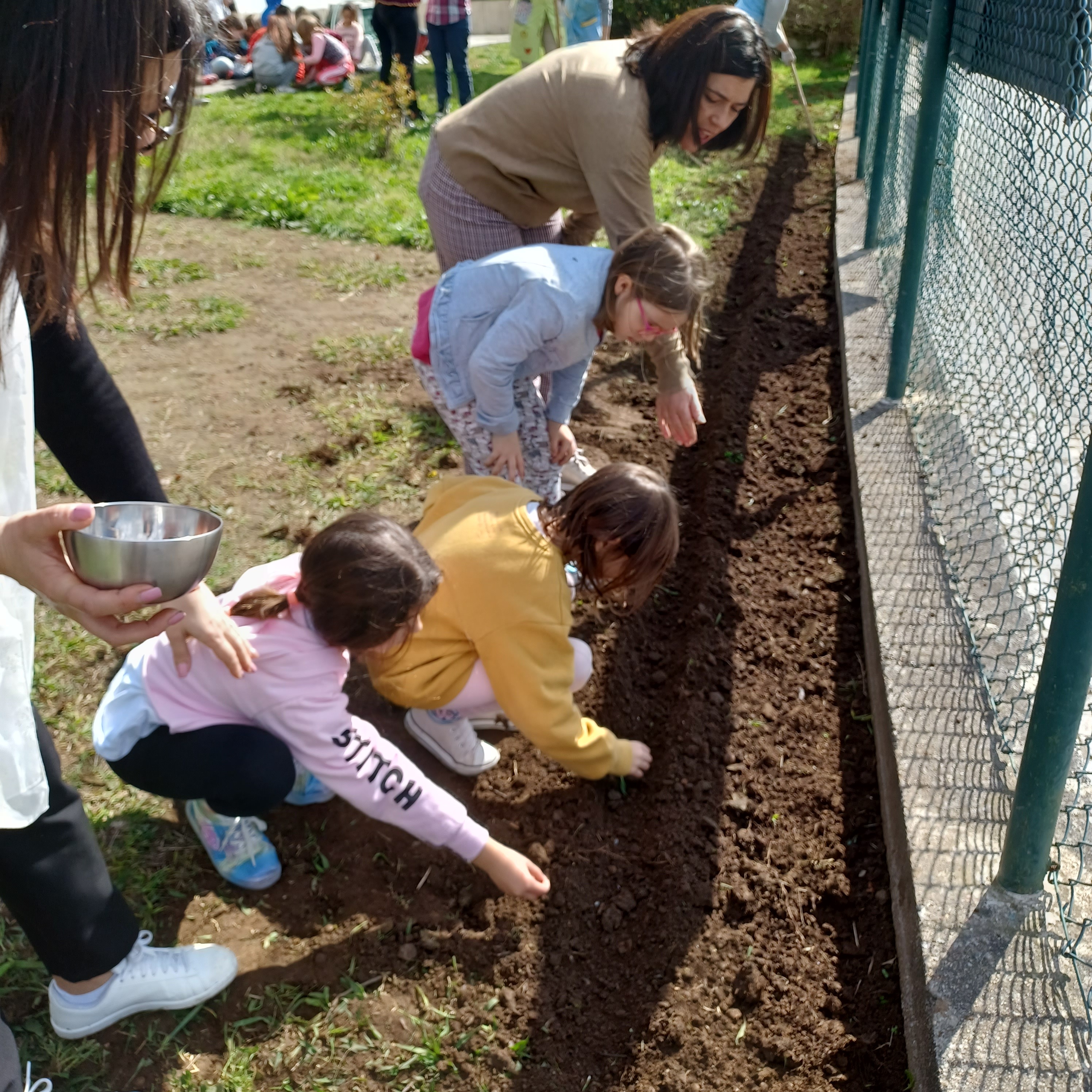 Semear girassóis.
Os alunos do 1º ciclo semearam girassóis em 21 de março para comemorar o 1º Dia de Primavera e o Dia da Árvore.