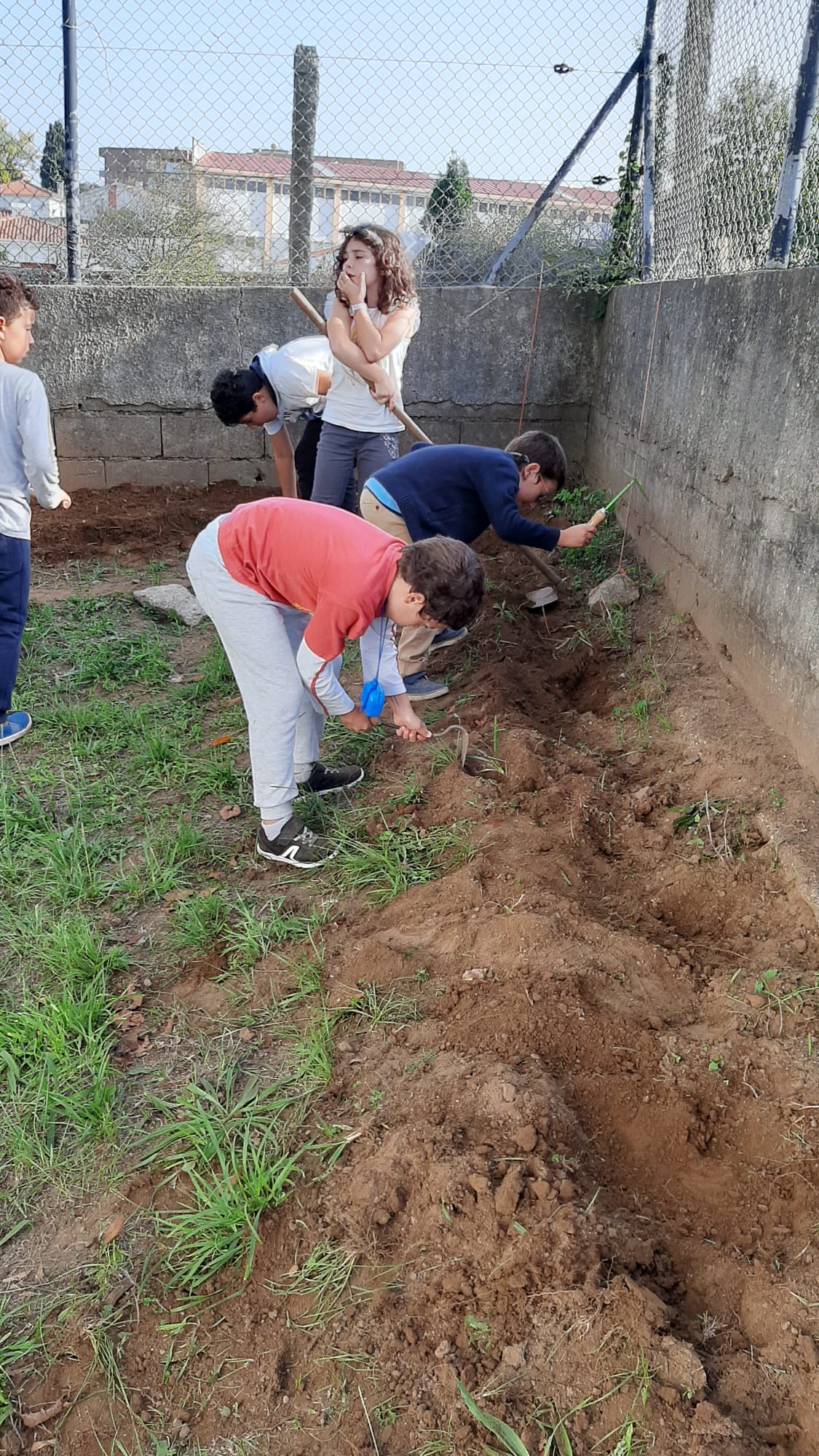 PREPARAÇÃO DA TERRA PARA CULTIVO