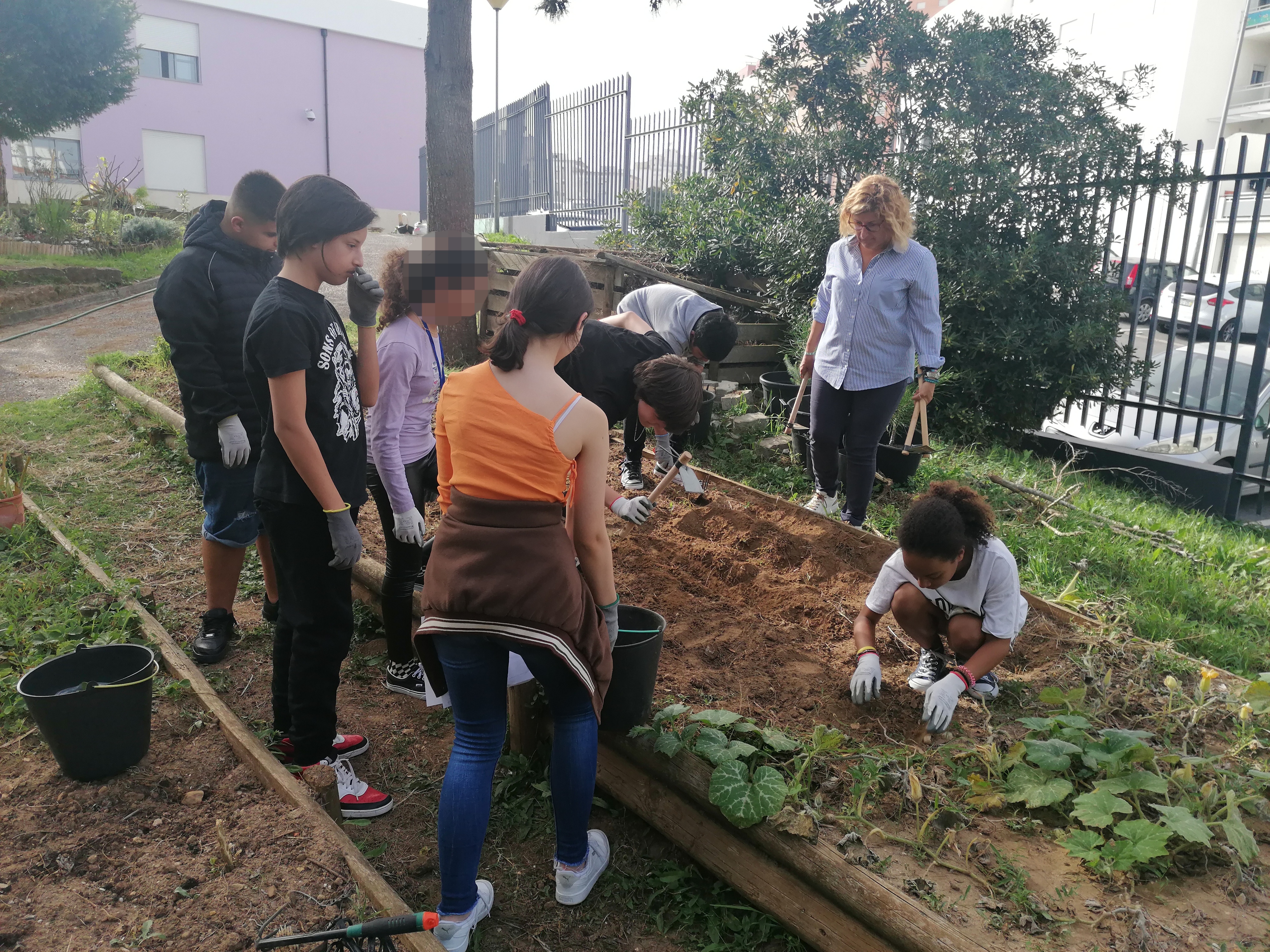 Primeiras plantações pela turma de 7.º ano