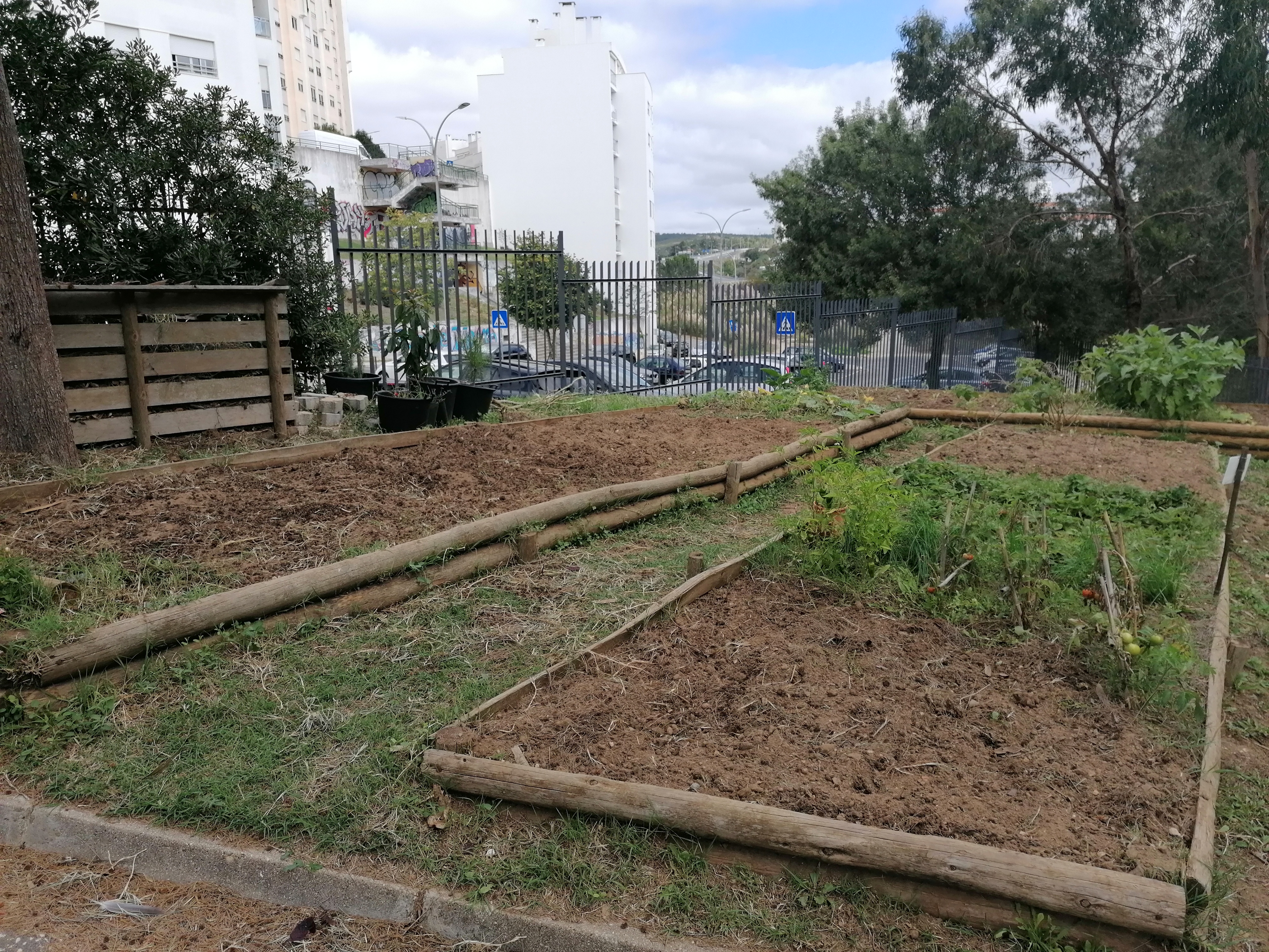 Talhões da horta após preparados para as primeiras culturas