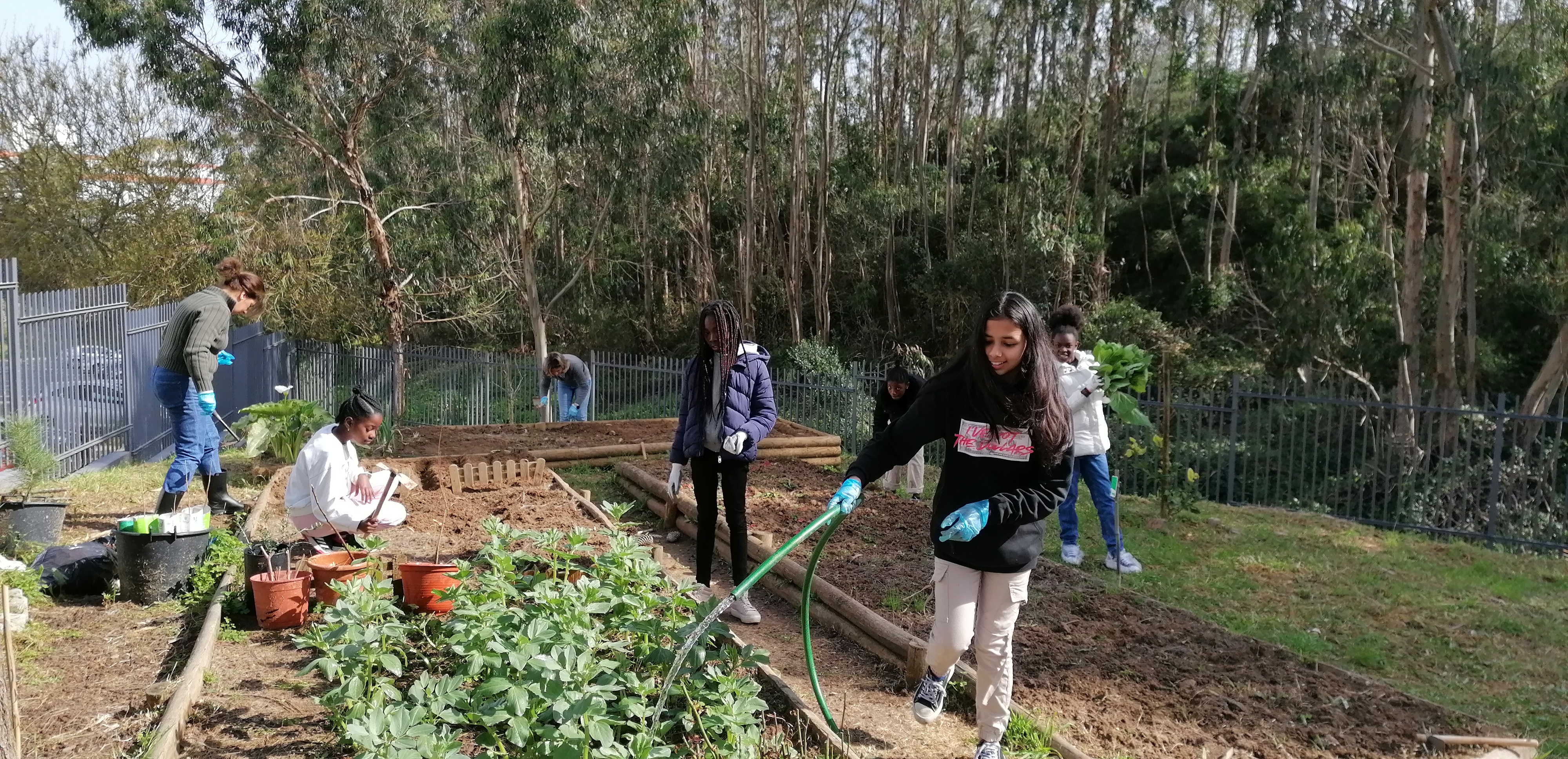 Brigada da Horta