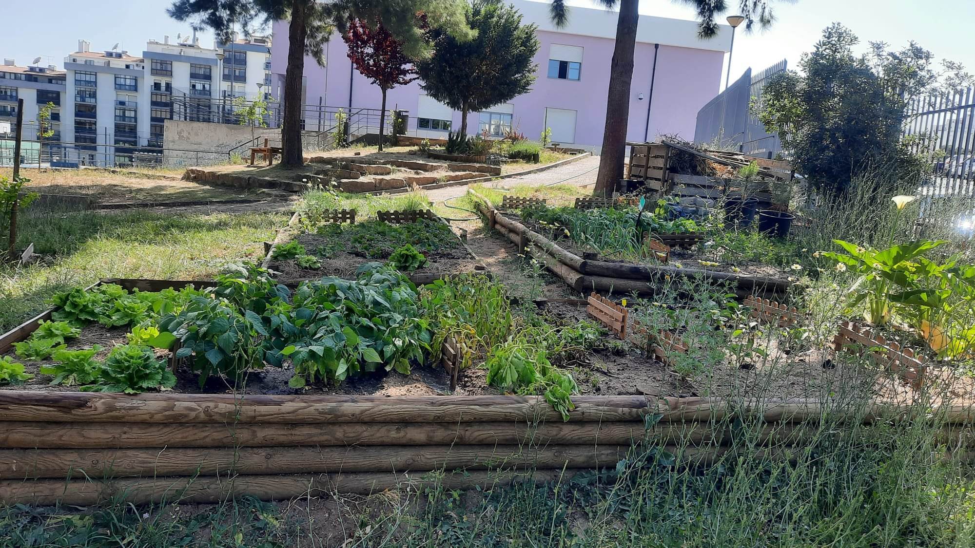 Culturas na horta
