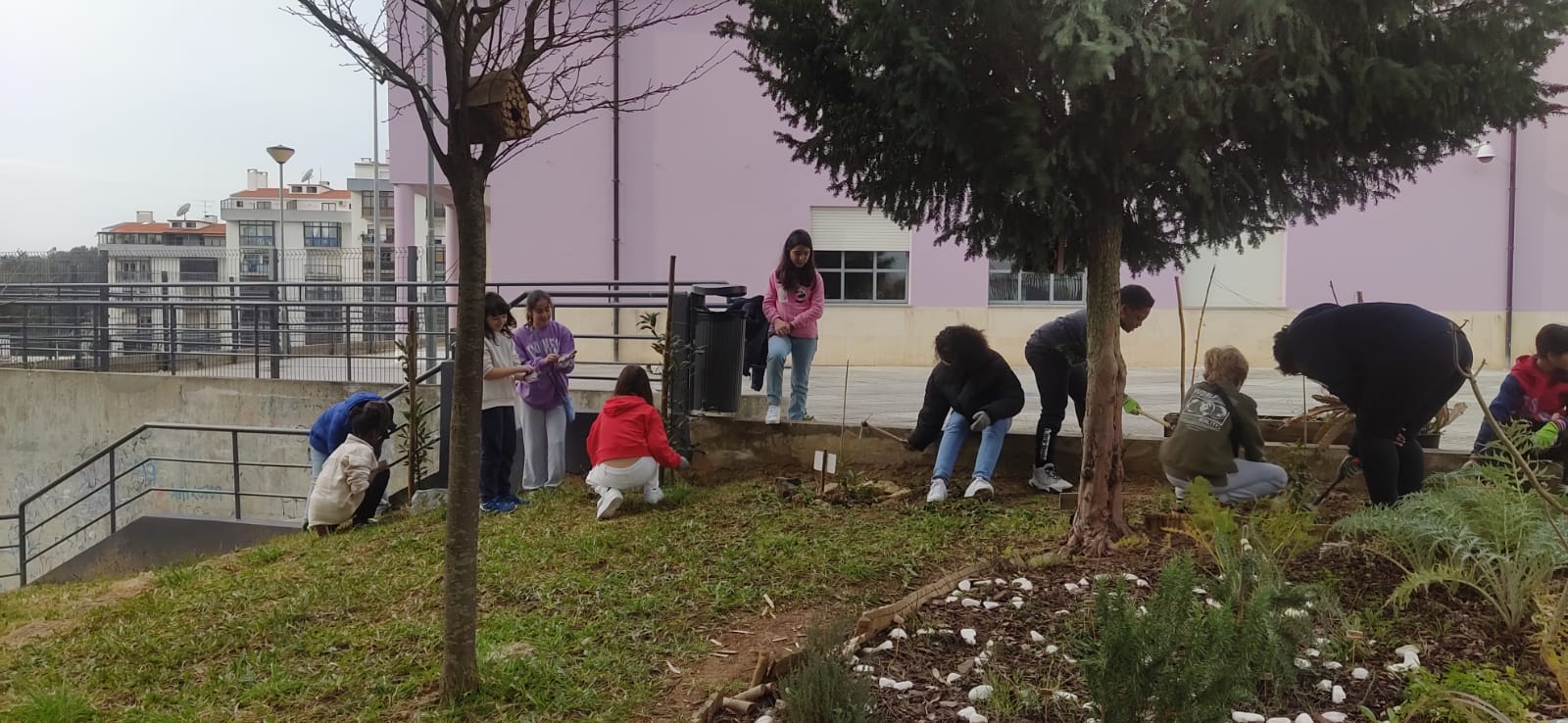 Manutenção dos loureiros pela turma de 5.º ano