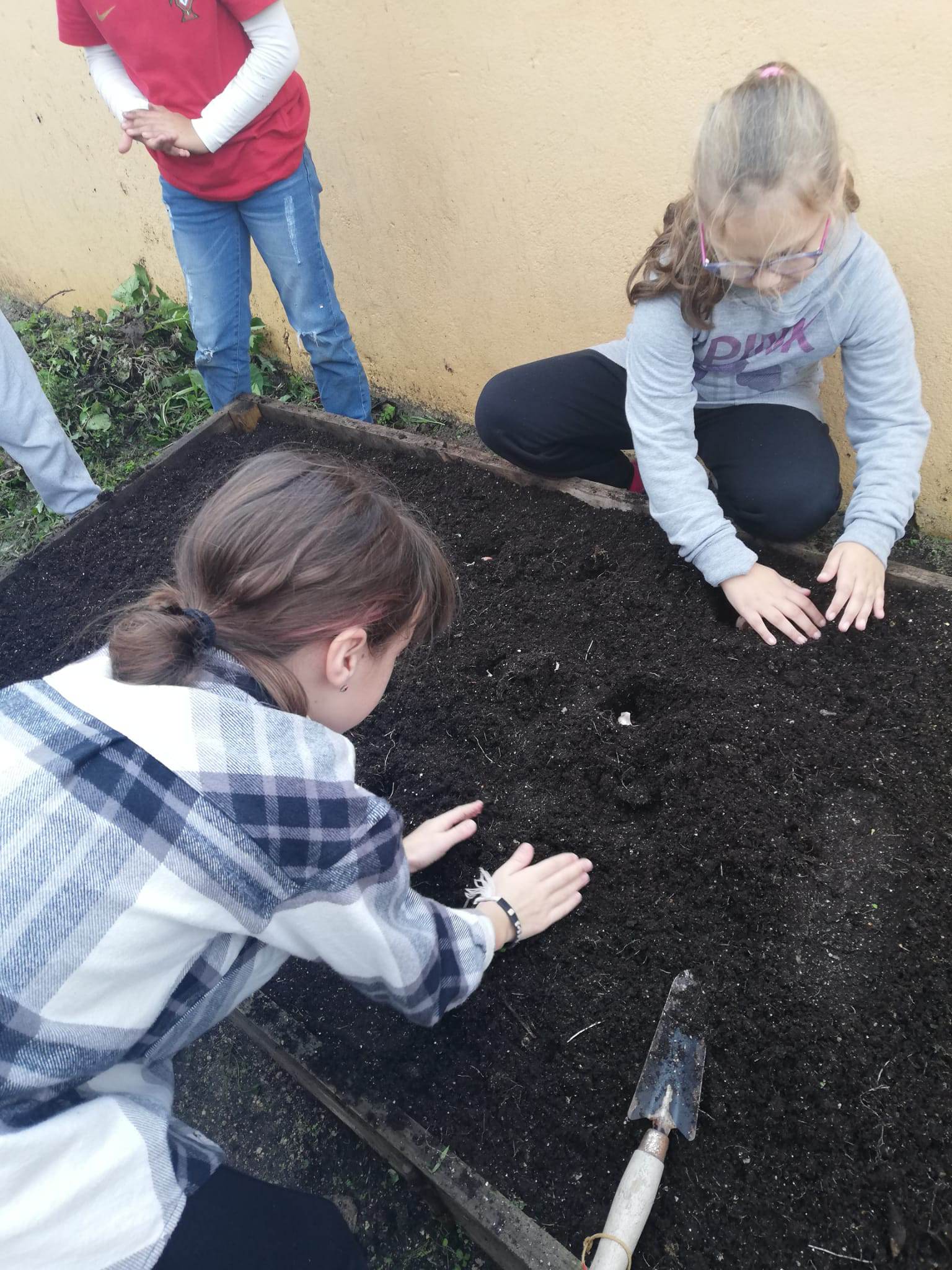 Depois de limpa a horta, deitámos as sementes à terra.