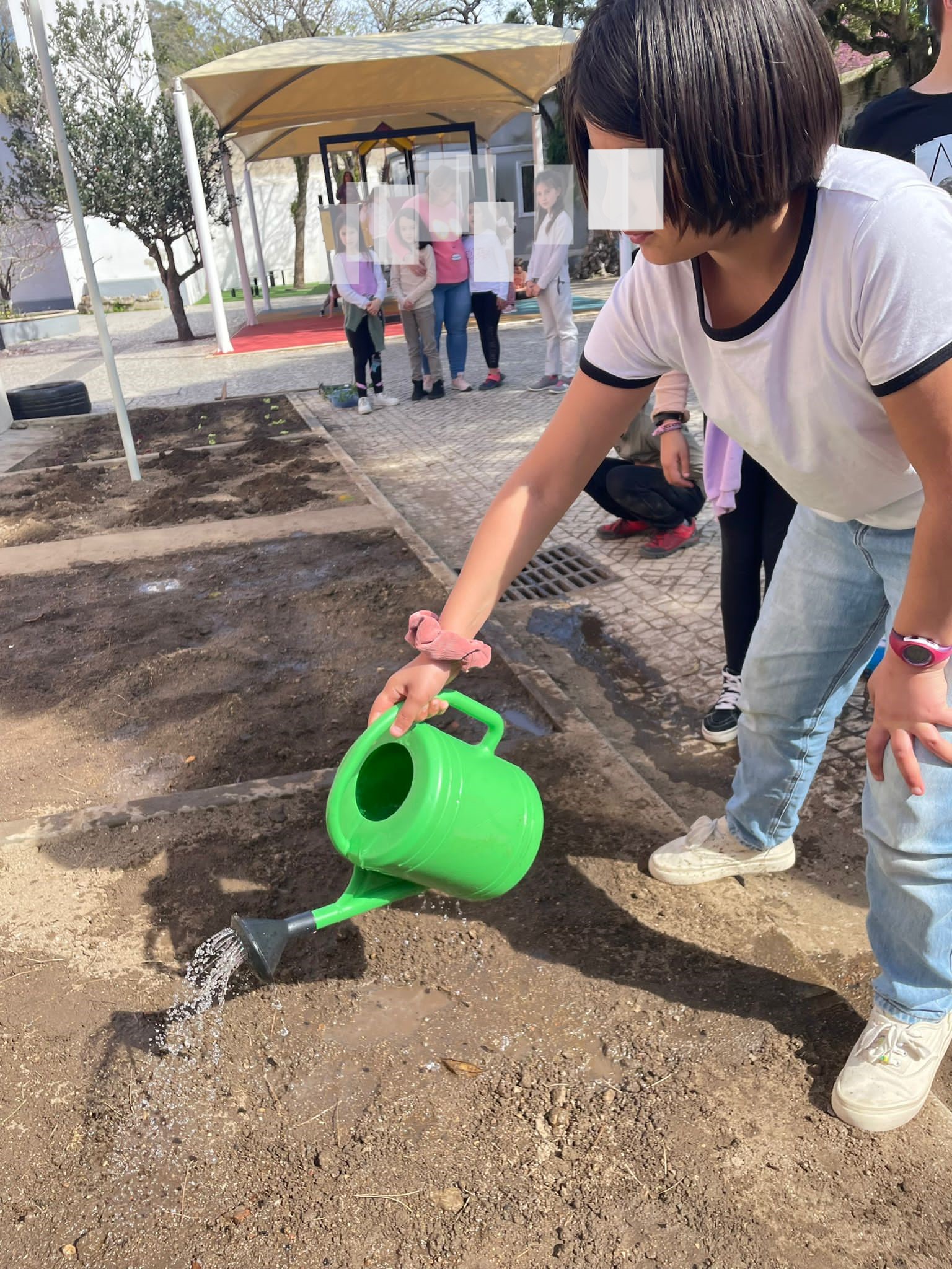 No fim de semear e plantar, regou-se