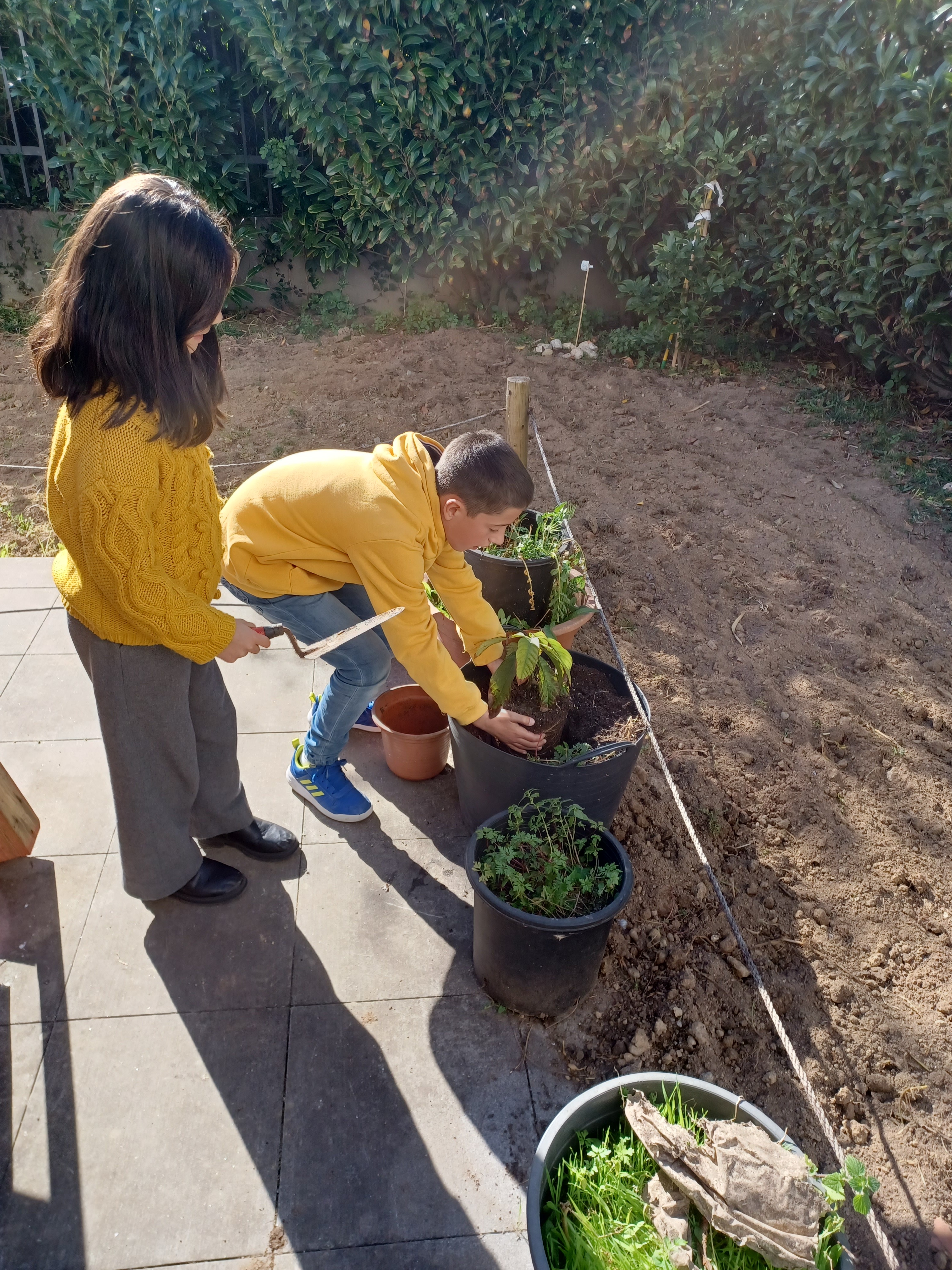 PLANTAÇÃO DE UM ABACATEIRO NUM VASO
Dois alunos procederam à plantação de um abacateiro num vaso de grandes dimensões.
Começaram por colocar substrato vegetal com mistura de borras de café no vaso e fizeram um buraco no meio.