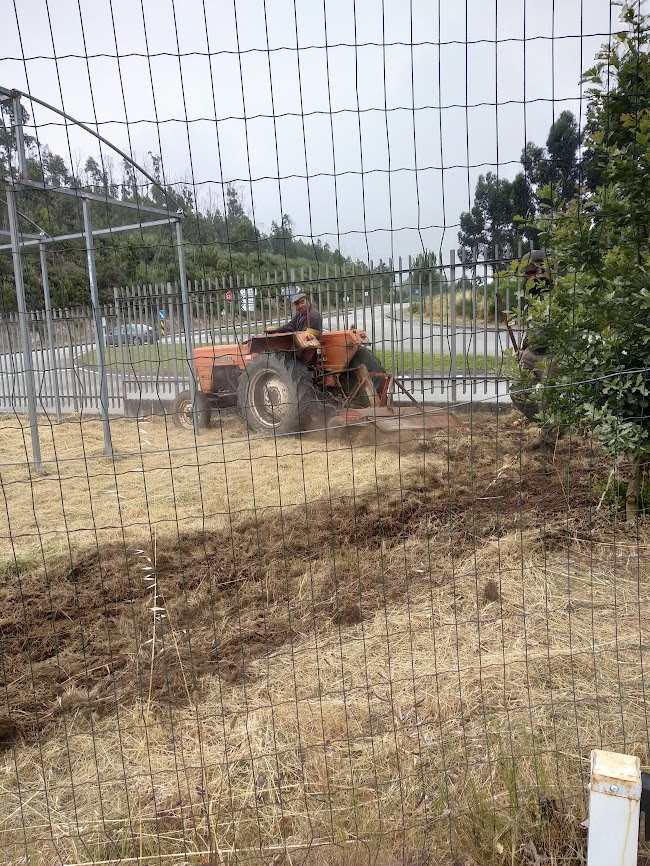 A dificuldade em trabalhar a terra, que possuía lixos da construção da escola, obrigou à preparação do solo com recurso a trator, realizada  pela associação de pais da escola,  após uma breve limpeza de lixos dispersos, detritos e pedras.