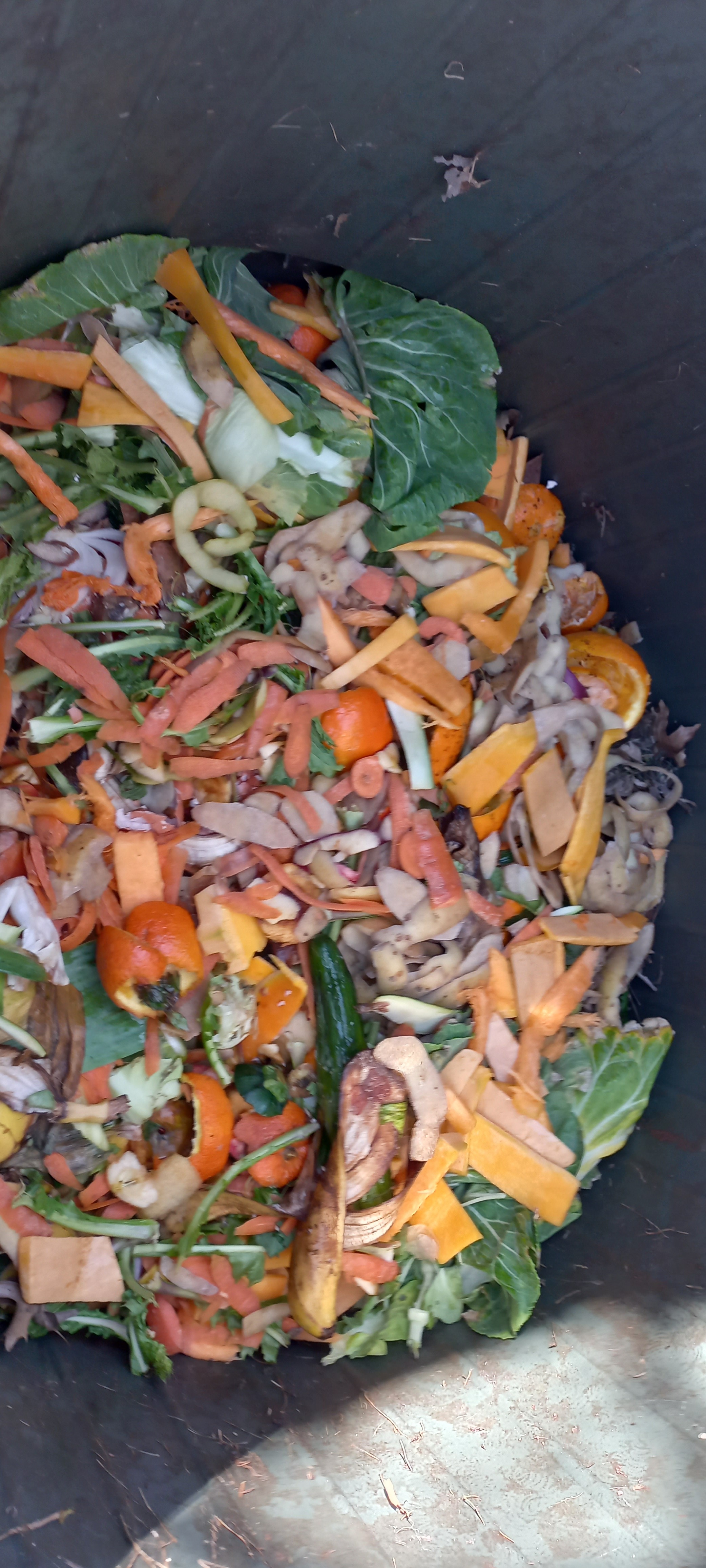 ALIMENTOS DO COMPOSTOR
