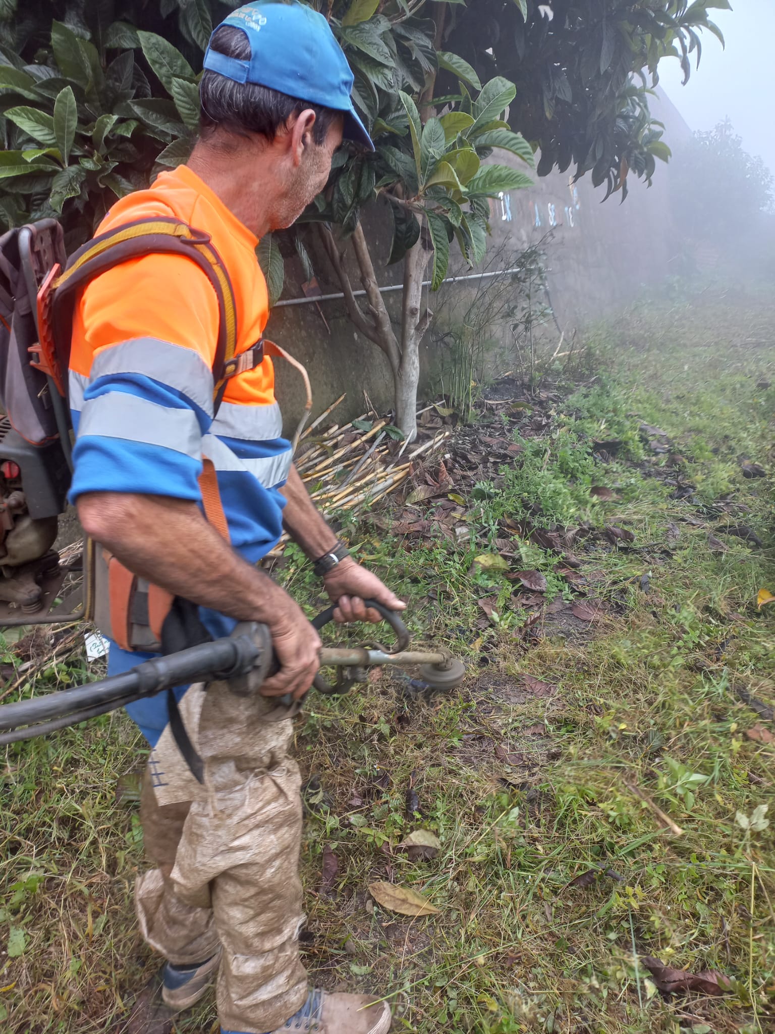 Com a colaboração da Junta da Freguesia do Jardim da Serra, fizemos a limpeza da horta para depois ser cavada e tratada.