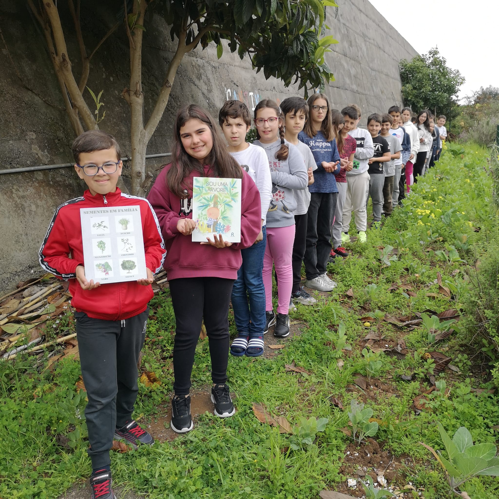 No dia mundial da árvore e da poesia os alunos do 1º ciclo e do pré-escolar estiveram na horta e assistiram à hora do conto "Sou uma árvore" a "Uma semente com mil anos".