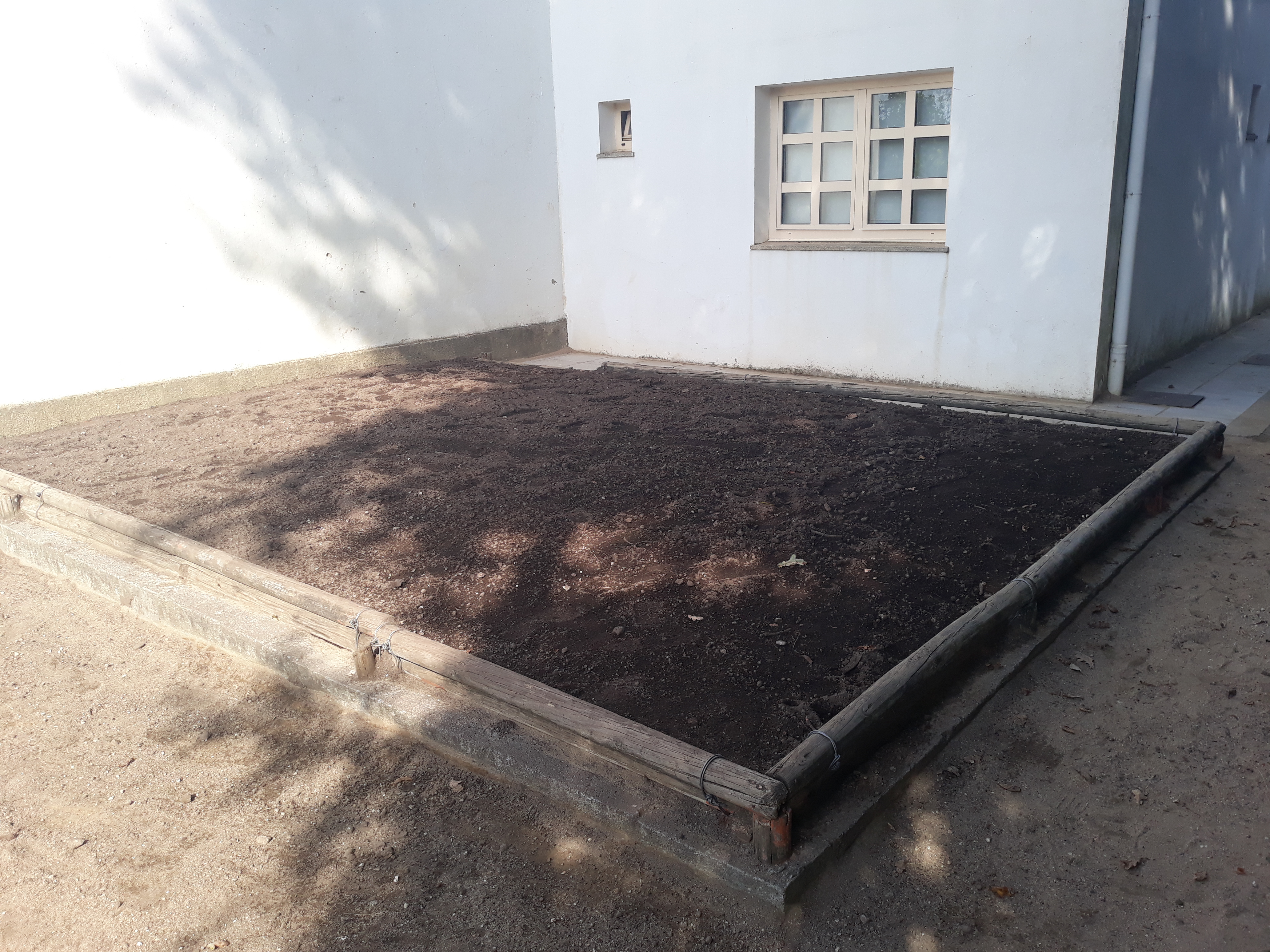 Antiga caixa de areia, agora, cheia com terra, onde faremos as nossa plantações.