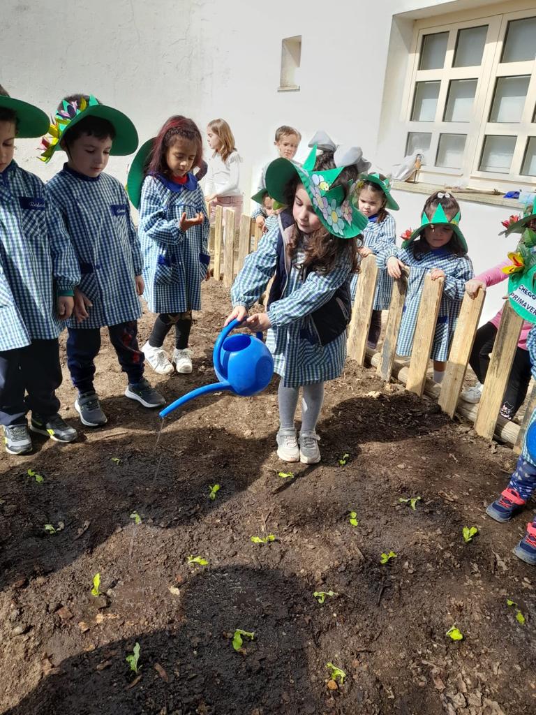 Rega das plantas.
