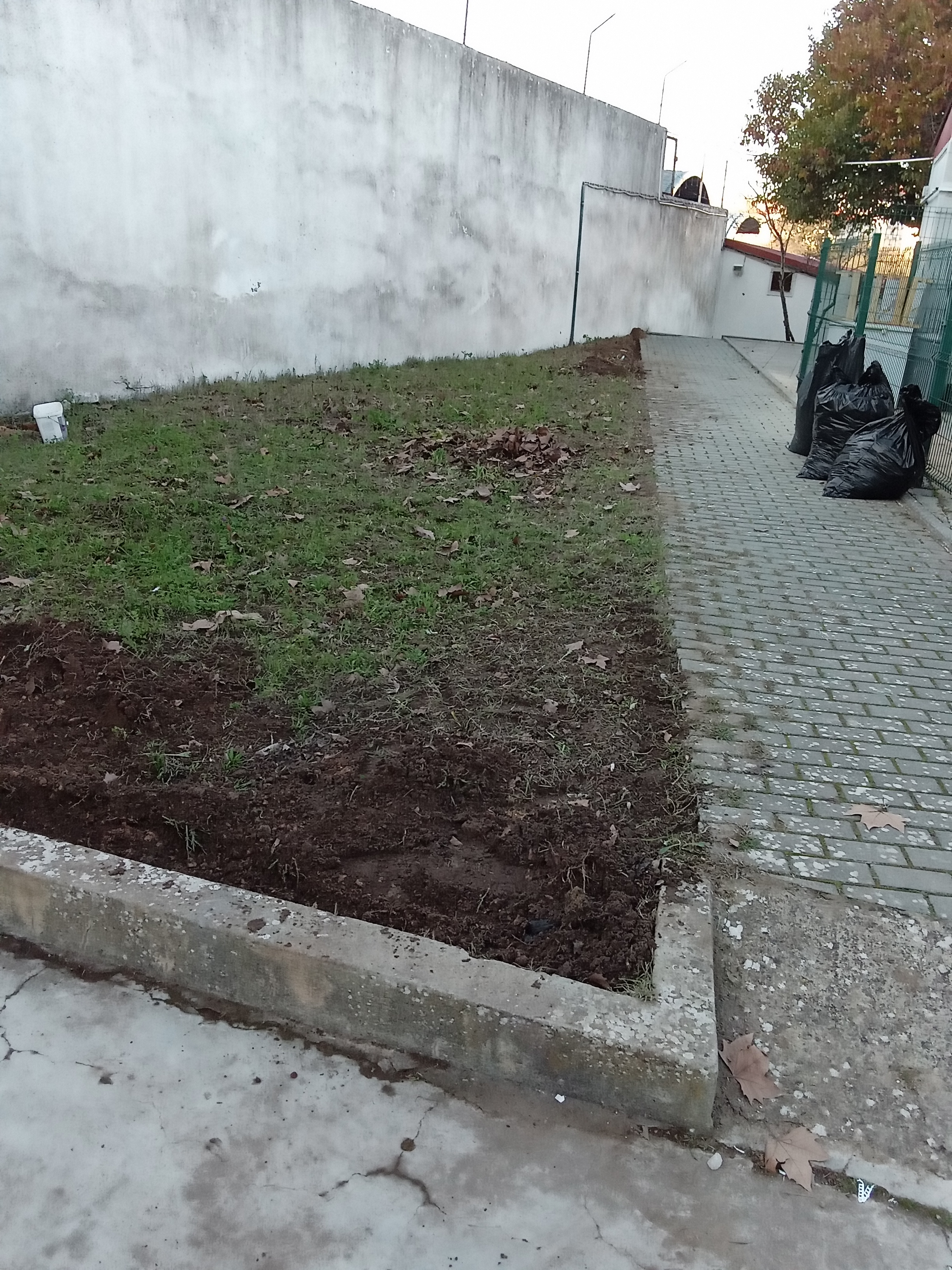 Terreno antes da implementação da Horta pedagógica