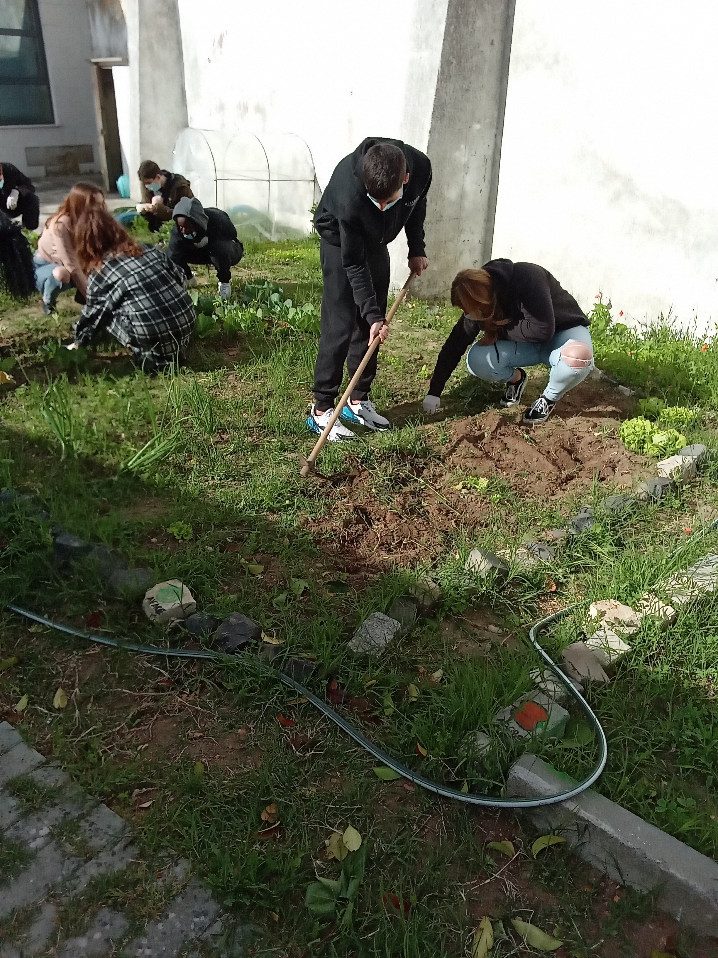 Limpeza do espaço e plantação