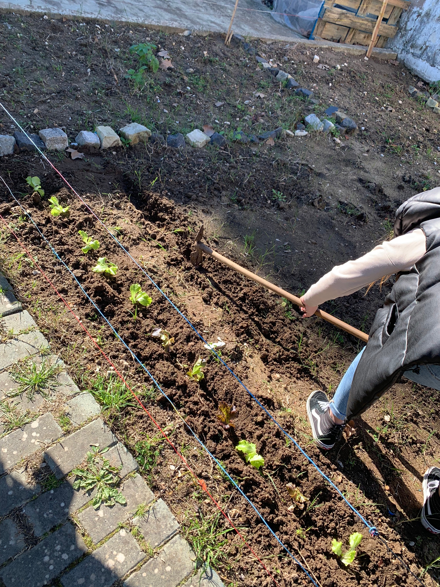 Preparação do terreno para plantação e/ou sementeira