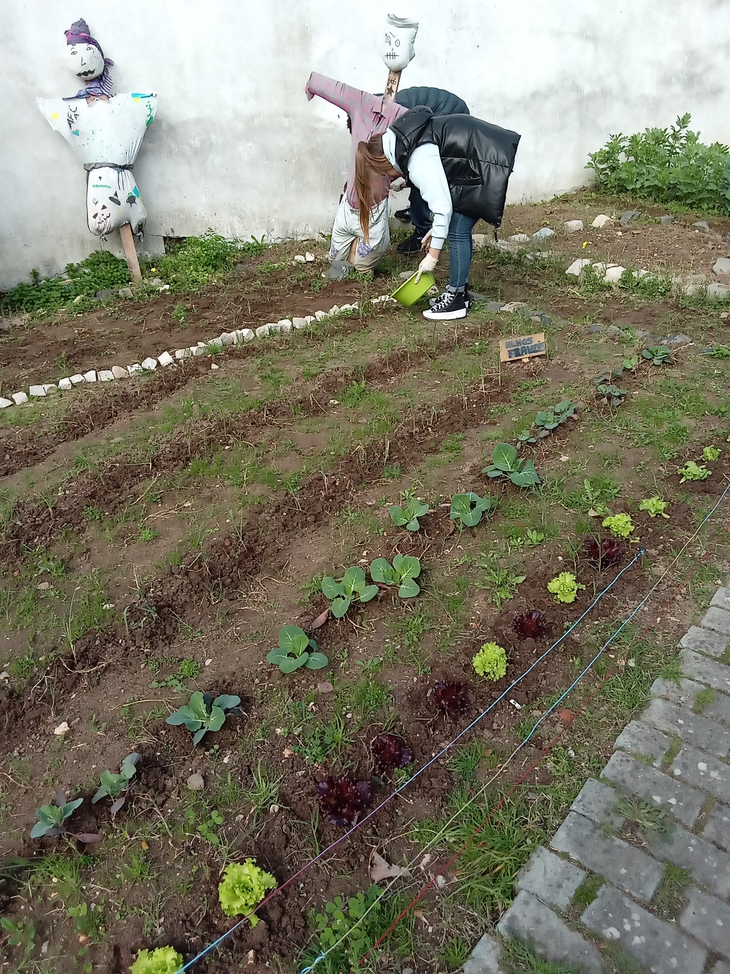 Fertilização com borras de café
