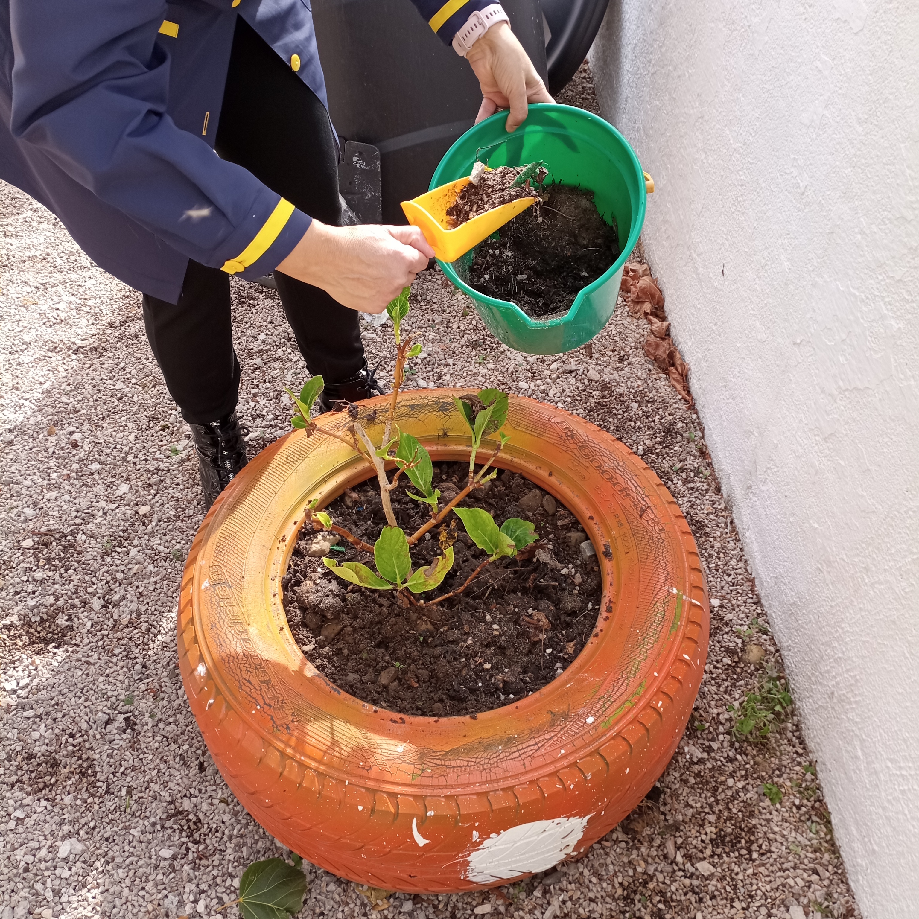 Colocar composto nos canteiros