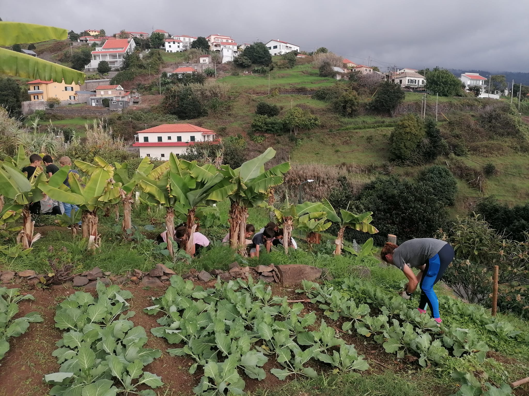 Ao longo do período foi realizada a manutenção da horta. Os alunos do 3º ano colaboraram na limpeza e arrancaram as ervas daninhas que invadiram o terreno.