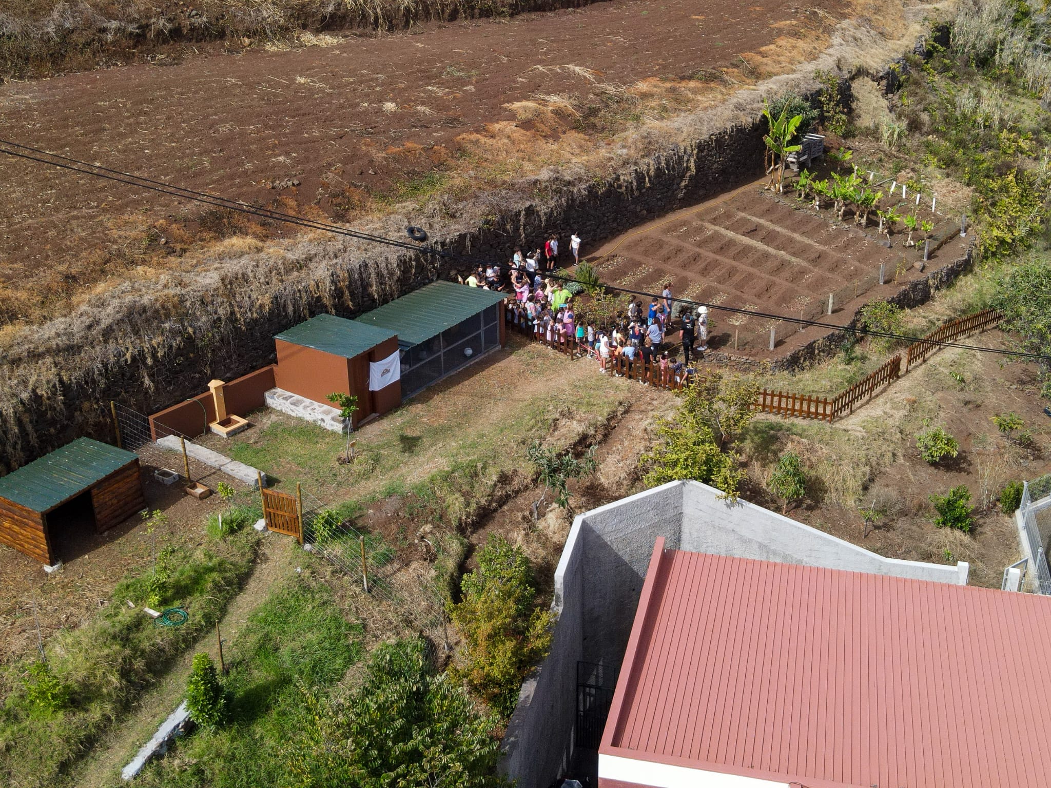 Nesta fotografia pode ver-se a dimensão do terreno da horta e inclusive a construção realizada com o apoio da Junta de Freguesia e Câmara Municipal para a instalação das galinhas, arrumo de materiais da horta e espaço para as ovelhas.