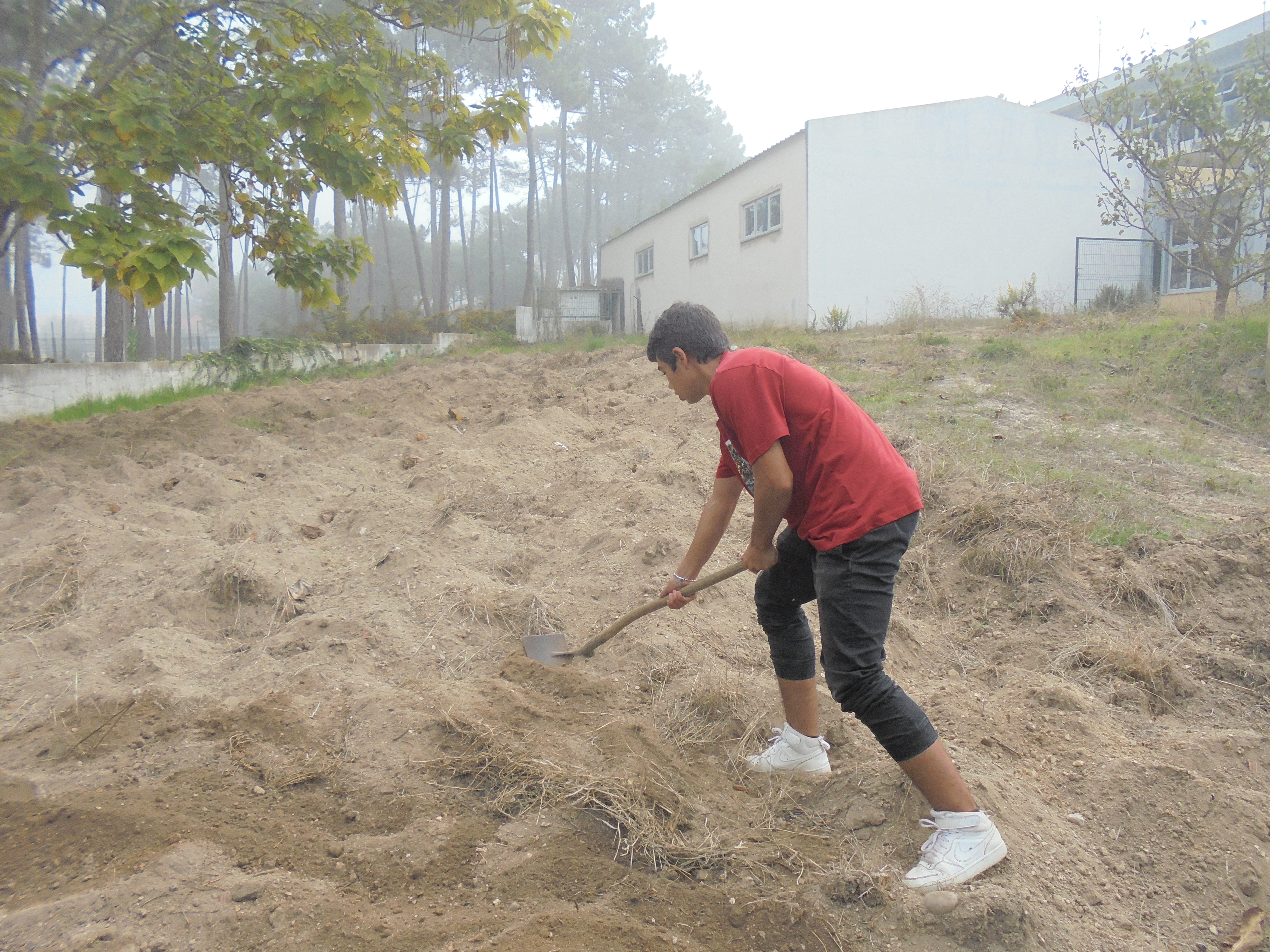 Trabalho de limpeza do terreno a trabalhar em 6 de outubro de 2022.
