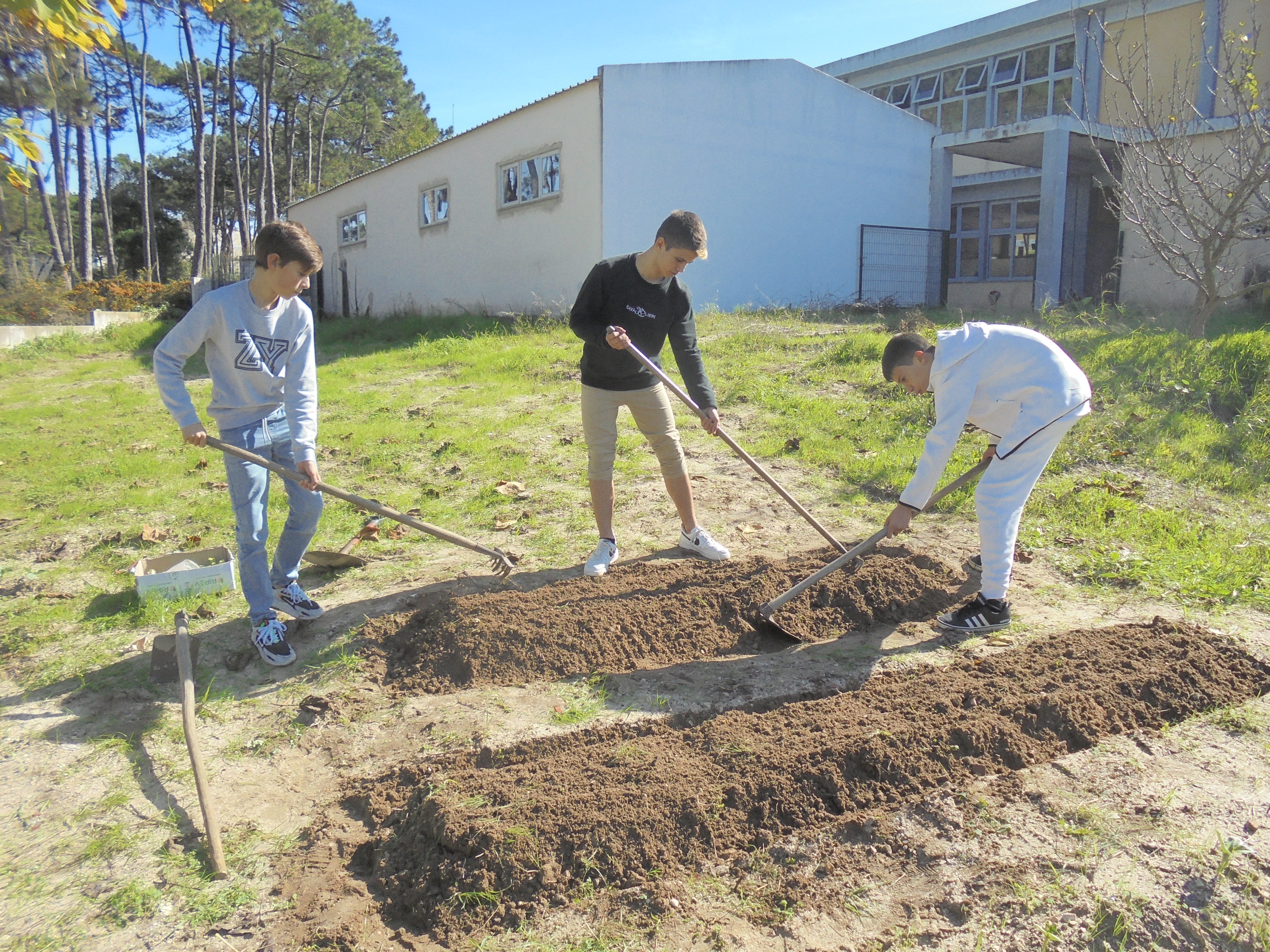 Preparação das leiras para a plantação de alfaces em 13 de novembro de 2022.