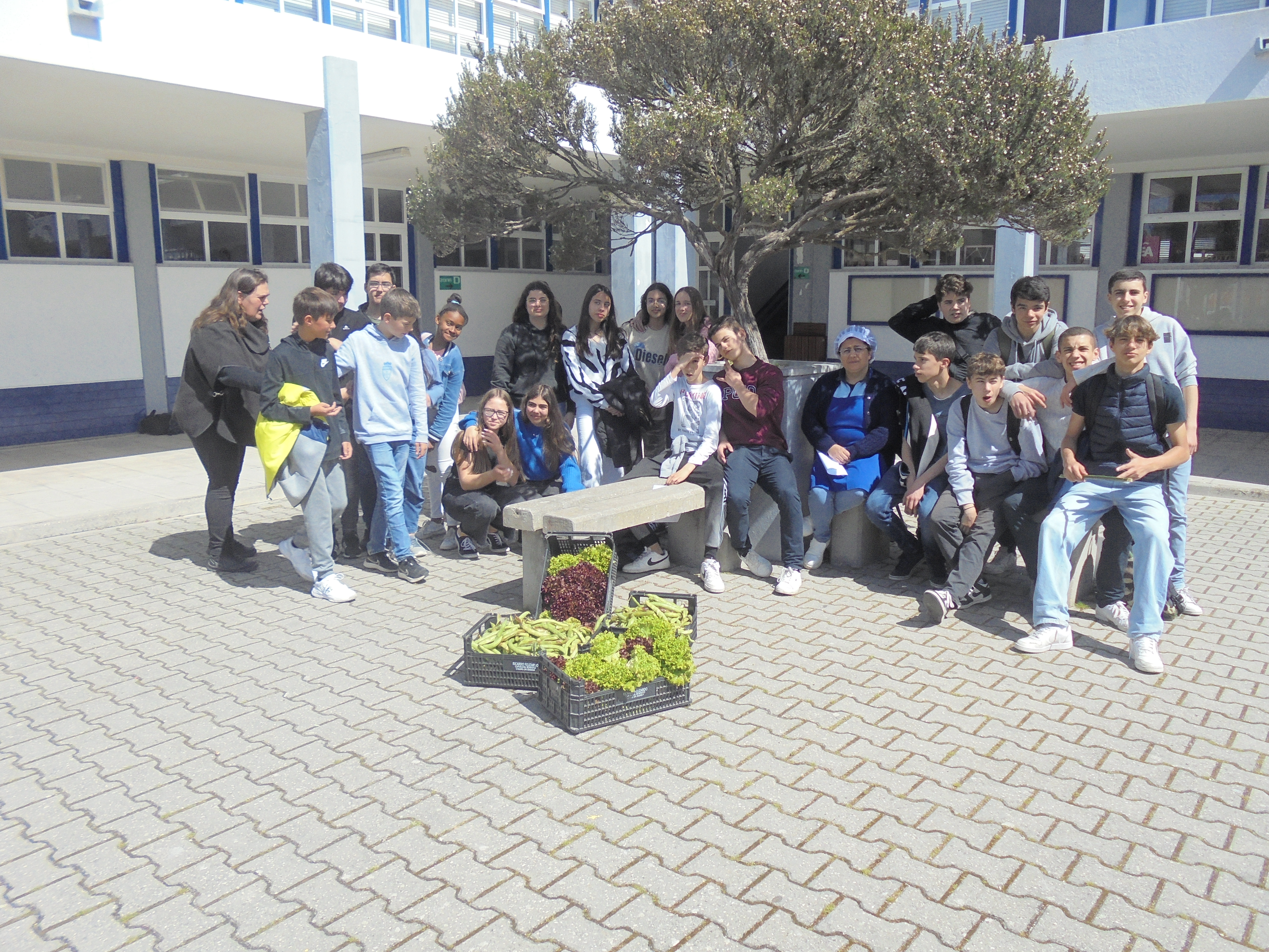 Entrega da colheita de favas e de alfaces ao refeitório.