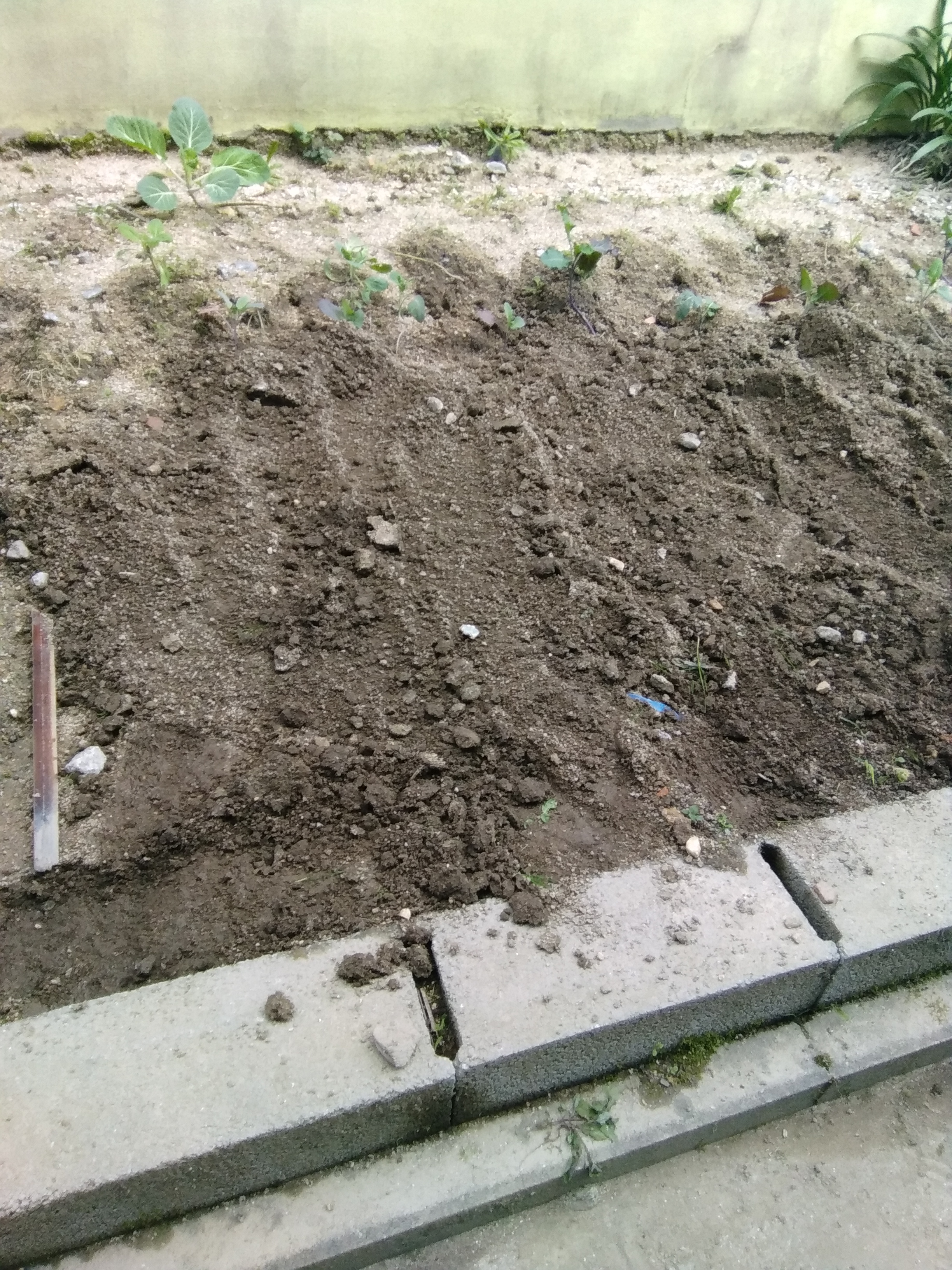 Solo preparado para o cultivo