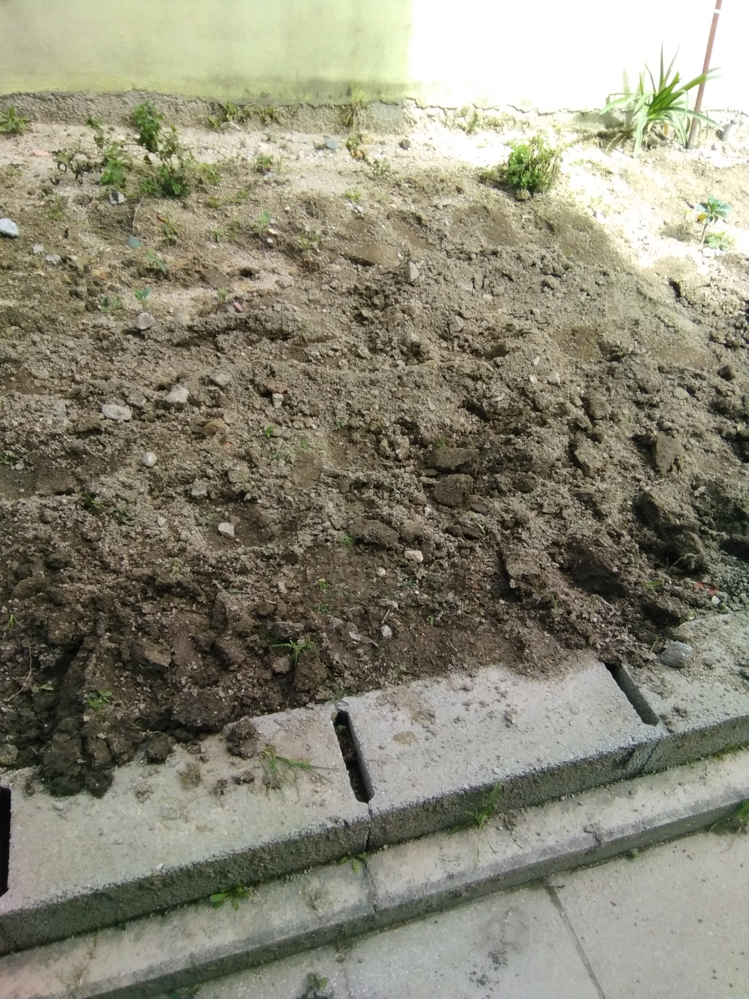 Solo preparado para o cultivo