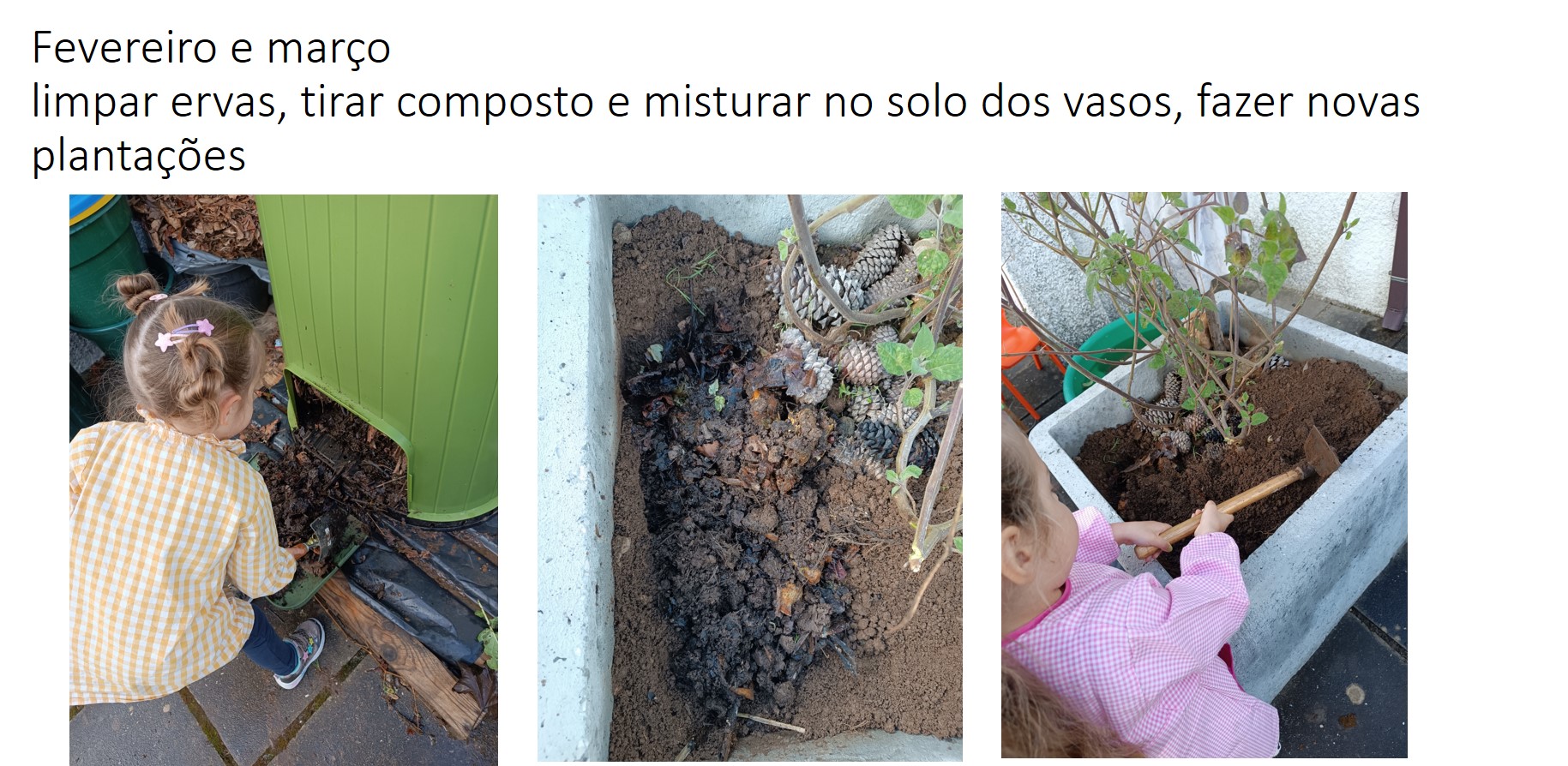 Fevereiro e marçolimpar ervas, tirar composto e misturar no solo dos vasos, fazer novas plantações