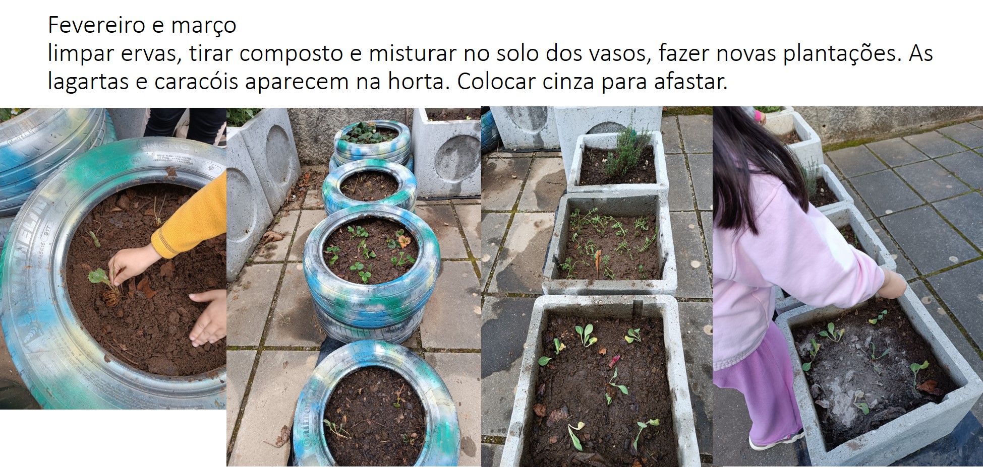 Fevereiro e marçolimpar ervas, tirar composto e misturar no solo dos vasos, fazer novas plantações. As lagartas e caracóis aparecem na horta. Colocar cinza para afastar.