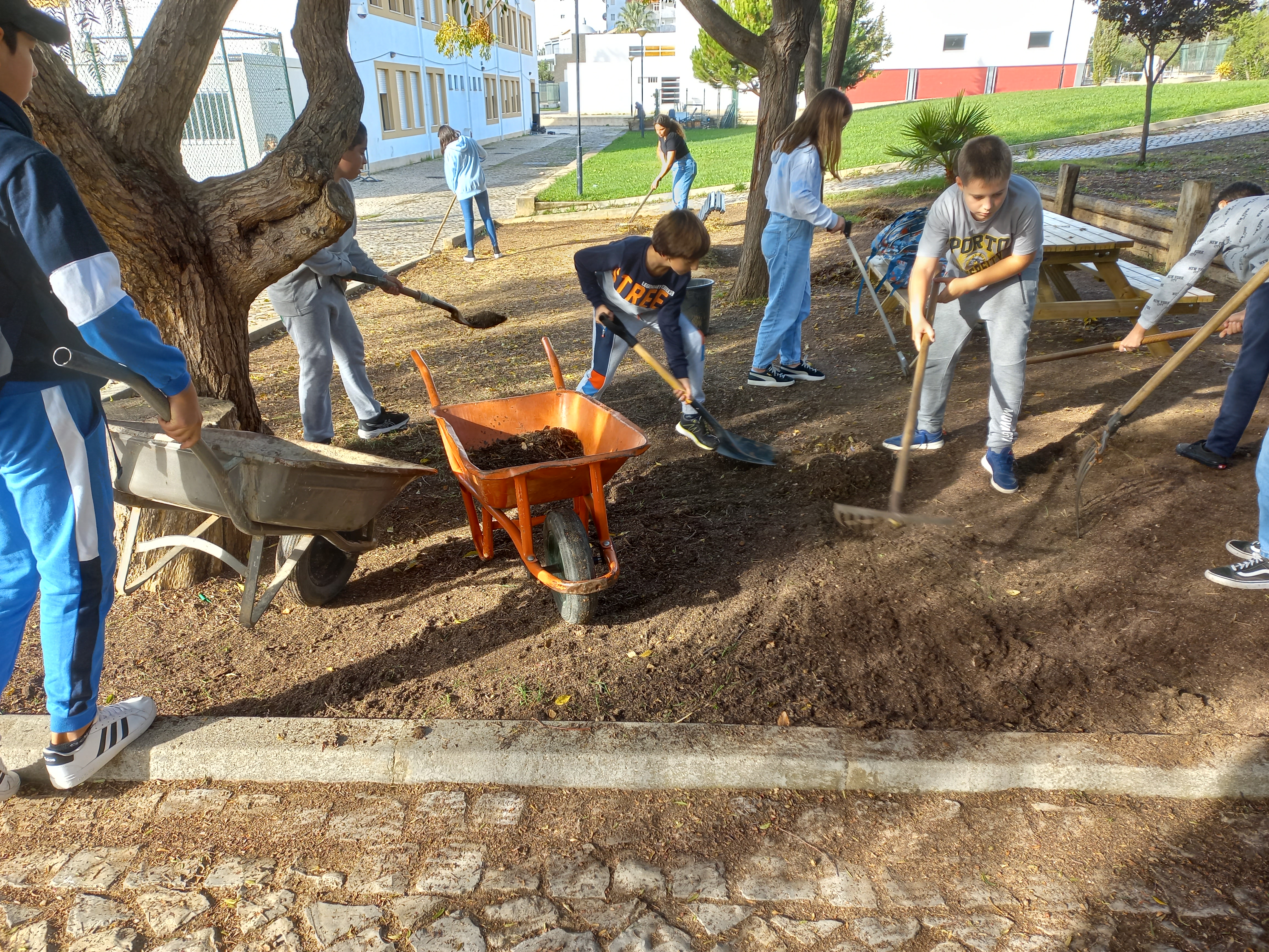 Limpeza dos espaços exteriores para recolha desolo fértil para o Jardim das Aromáticas e para as Hortas Bio.