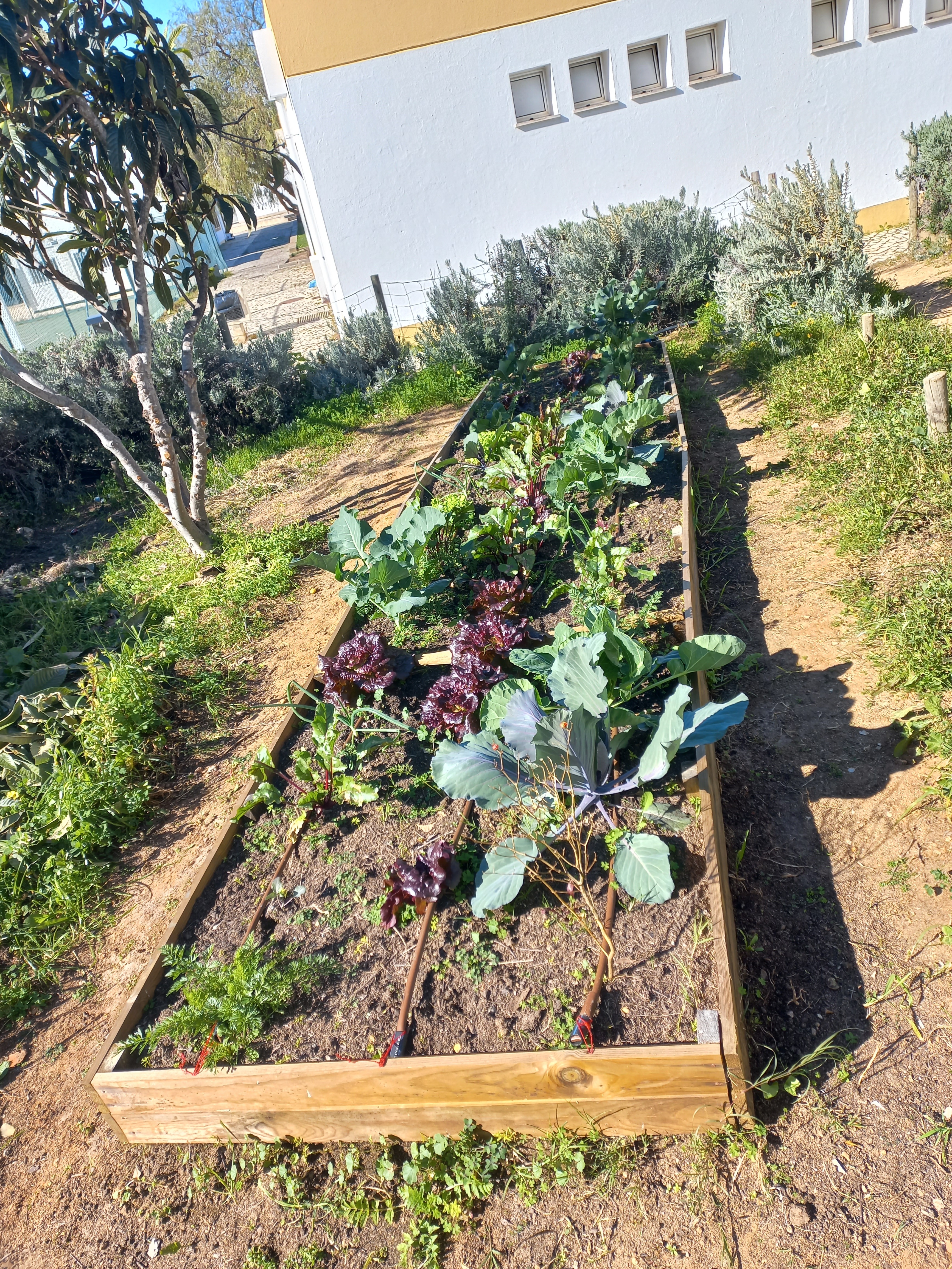 Horta